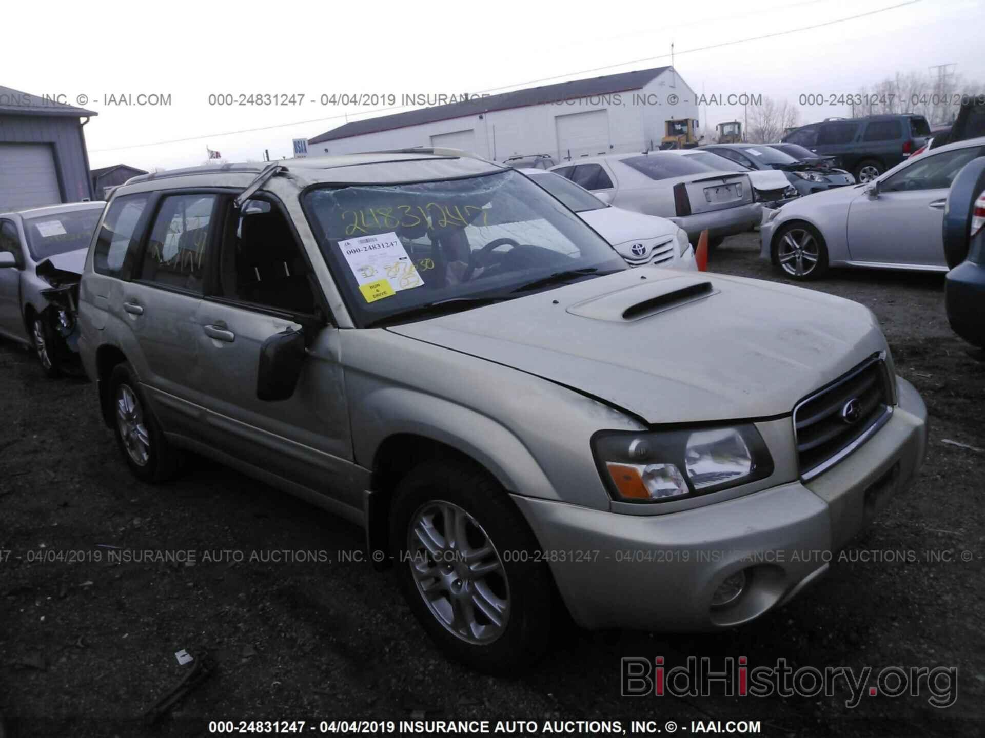 Photo JF1SG69615H706780 - SUBARU FORESTER 2005