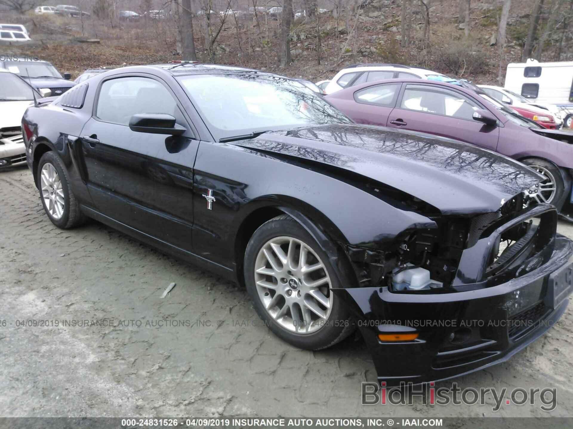 Photo 1ZVBP8AM8D5263072 - FORD MUSTANG 2013