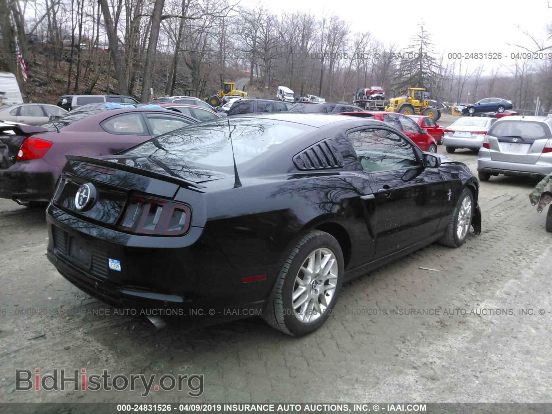 2013 FORD MUSTANG - VIN: 1ZVBP8AM8D5263072 - Фото 4