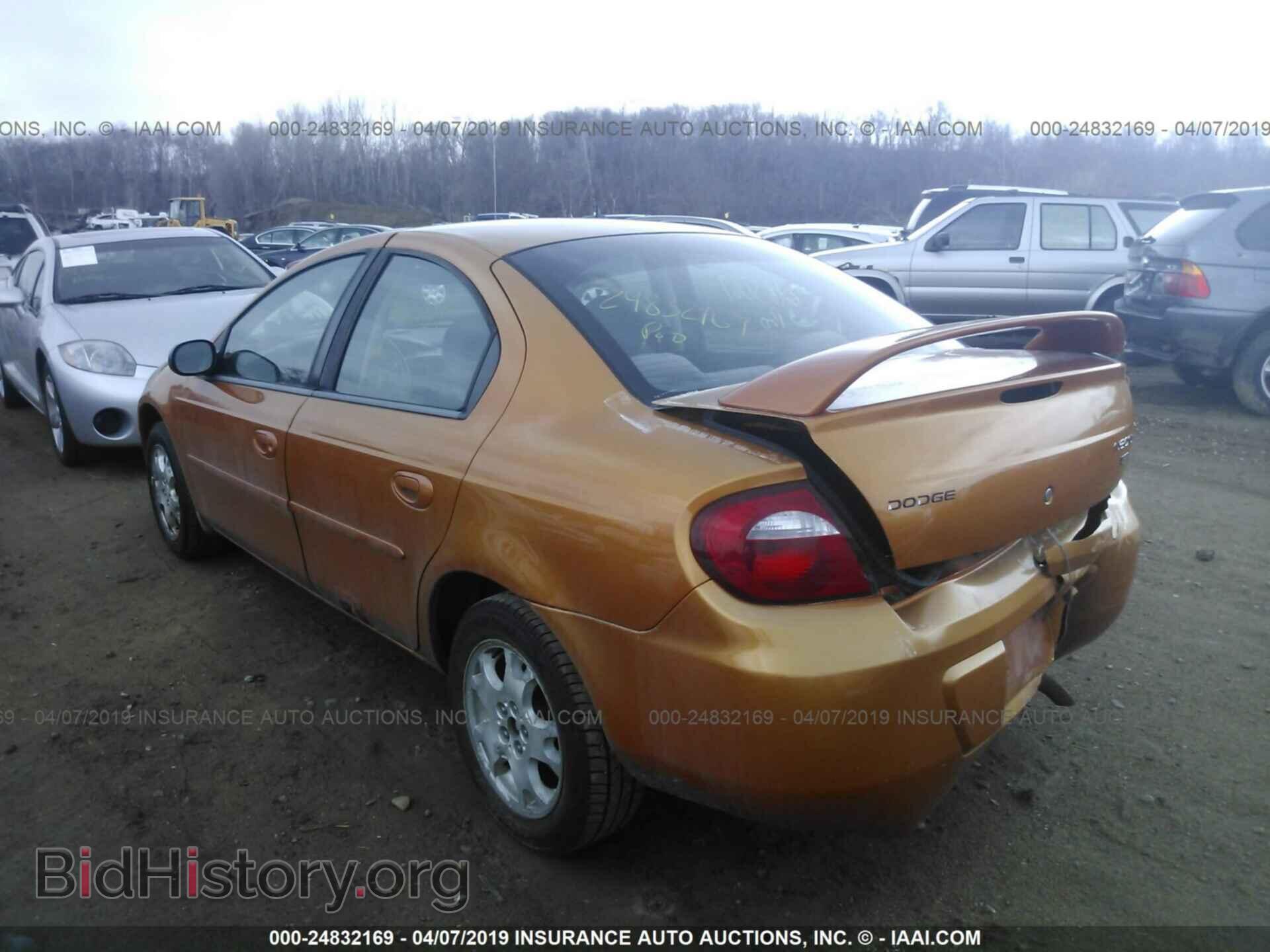 2005 DODGE NEON - VIN: 1B3ES56C05D233537 - Фото 3