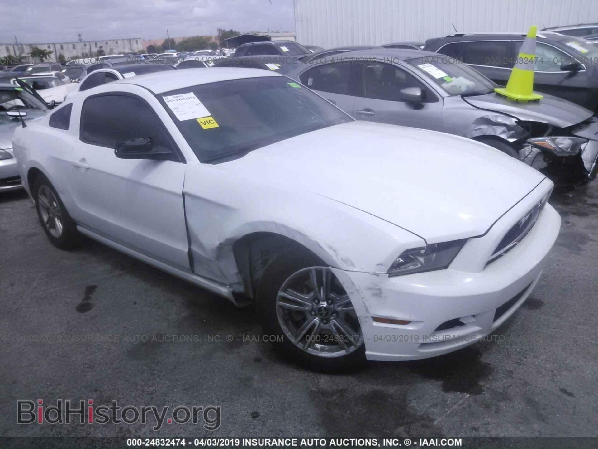 Фотография 1ZVBP8AM0E5330748 - FORD MUSTANG 2014