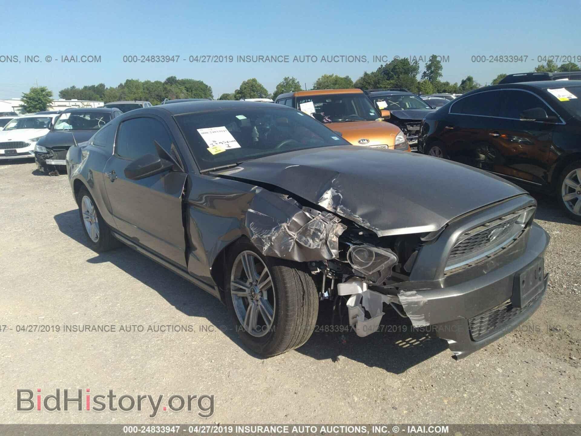 Фотография 1ZVBP8AM4E5219314 - FORD MUSTANG 2014