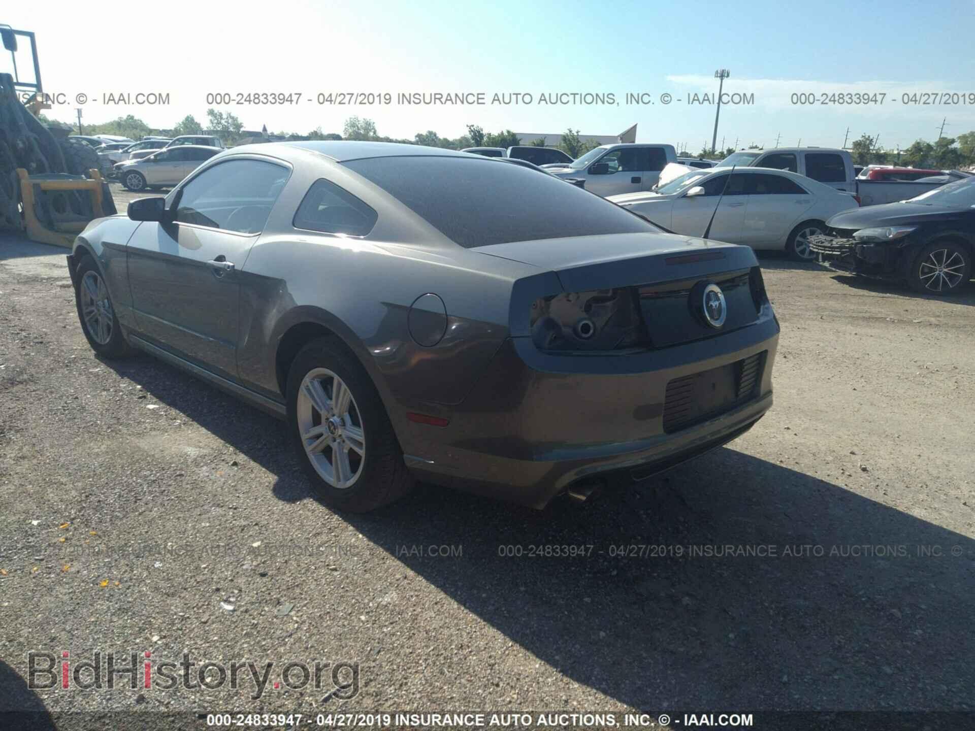 2014 FORD MUSTANG - VIN: 1ZVBP8AM4E5219314 - Фото 3