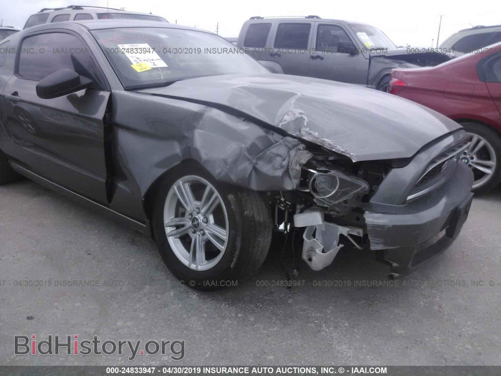 2014 FORD MUSTANG - VIN: 1ZVBP8AM4E5219314 - Фото 6