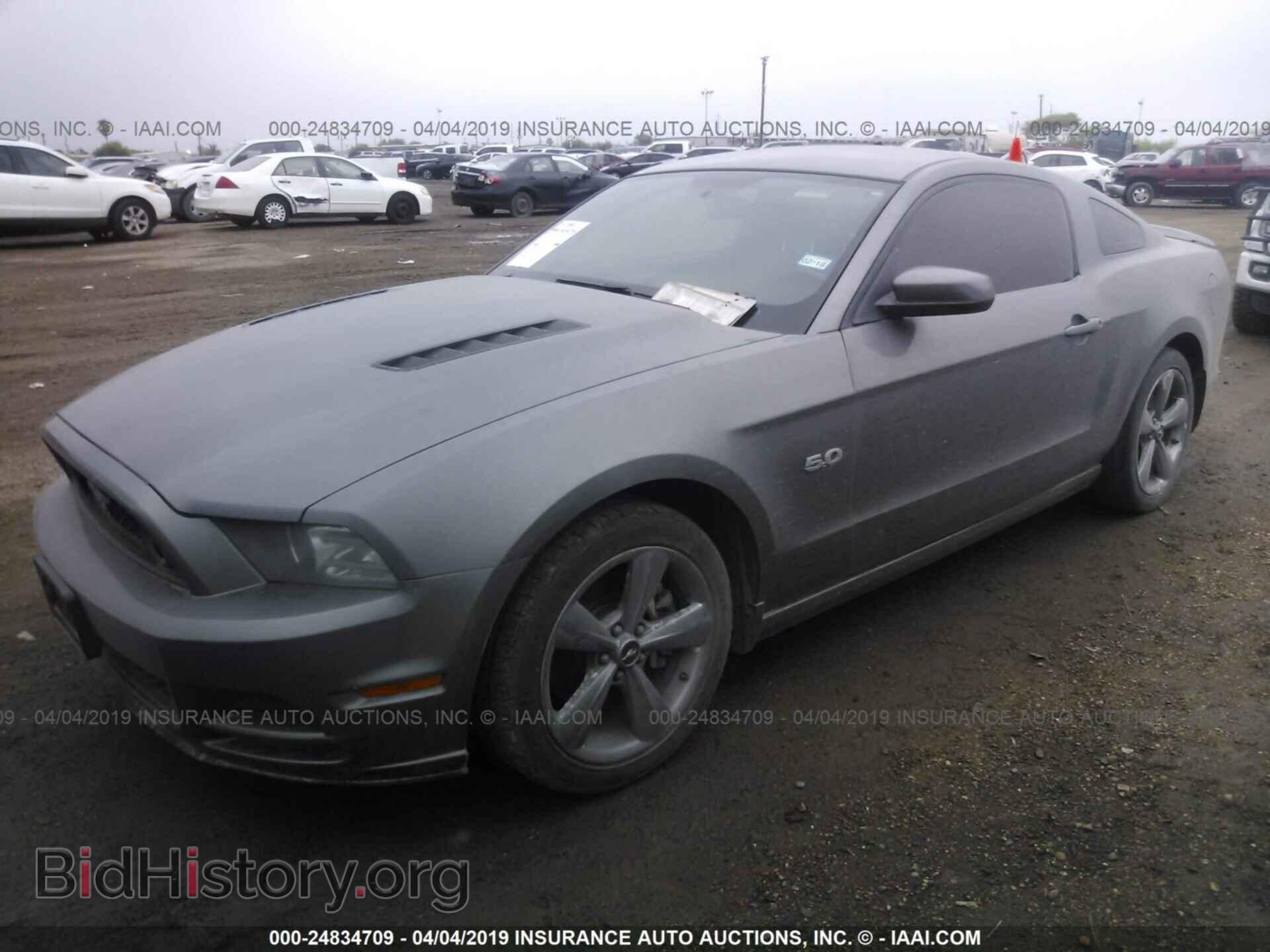 2013 FORD MUSTANG - VIN: 1ZVBP8CF6D5238685 - Фото 2