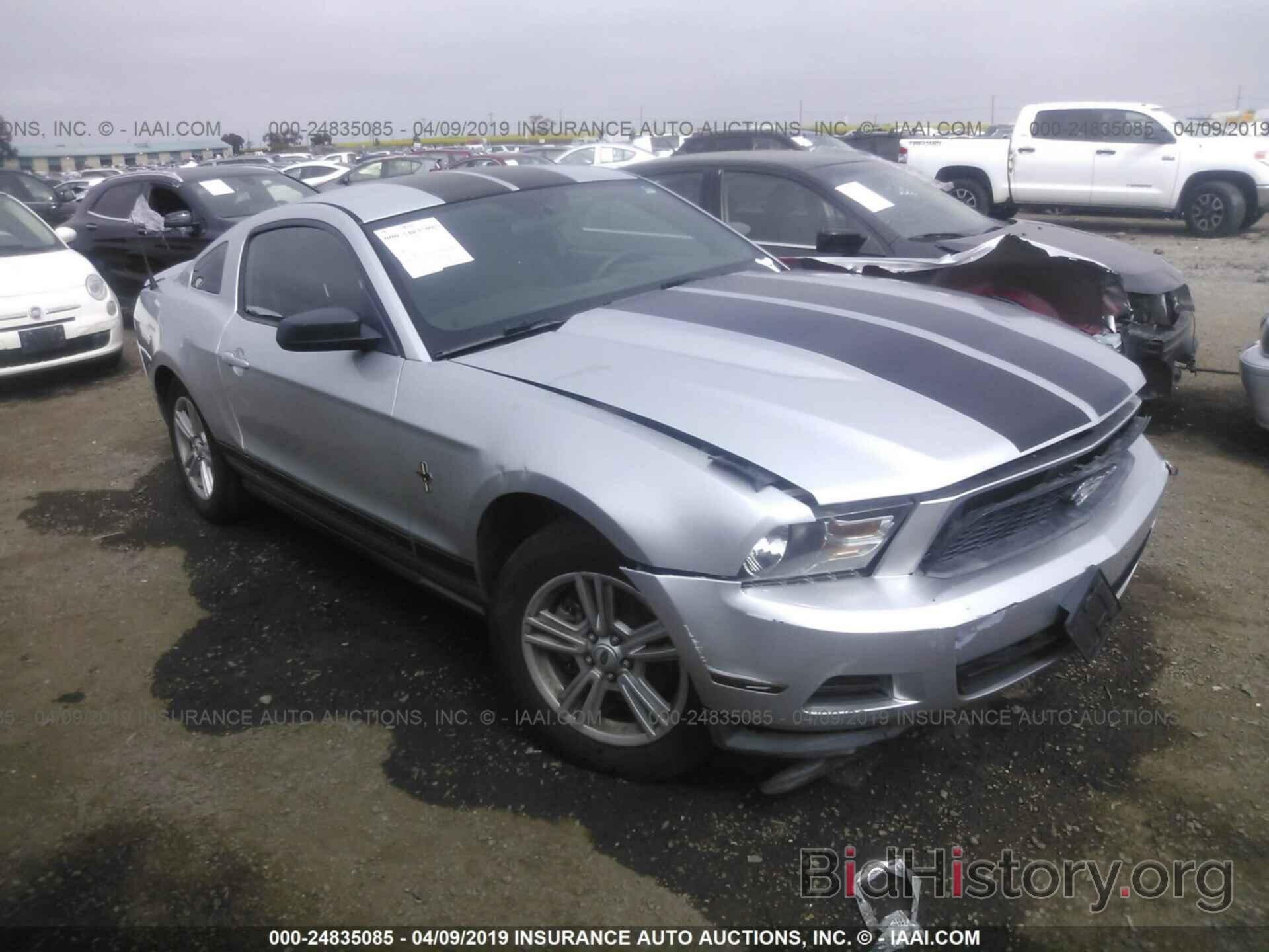 Photo 1ZVBP8AM2C5267729 - FORD MUSTANG 2012