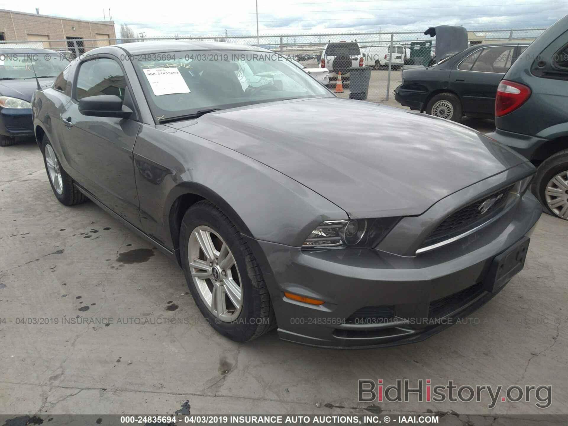 Photo 1ZVBP8AM0D5262711 - FORD MUSTANG 2013
