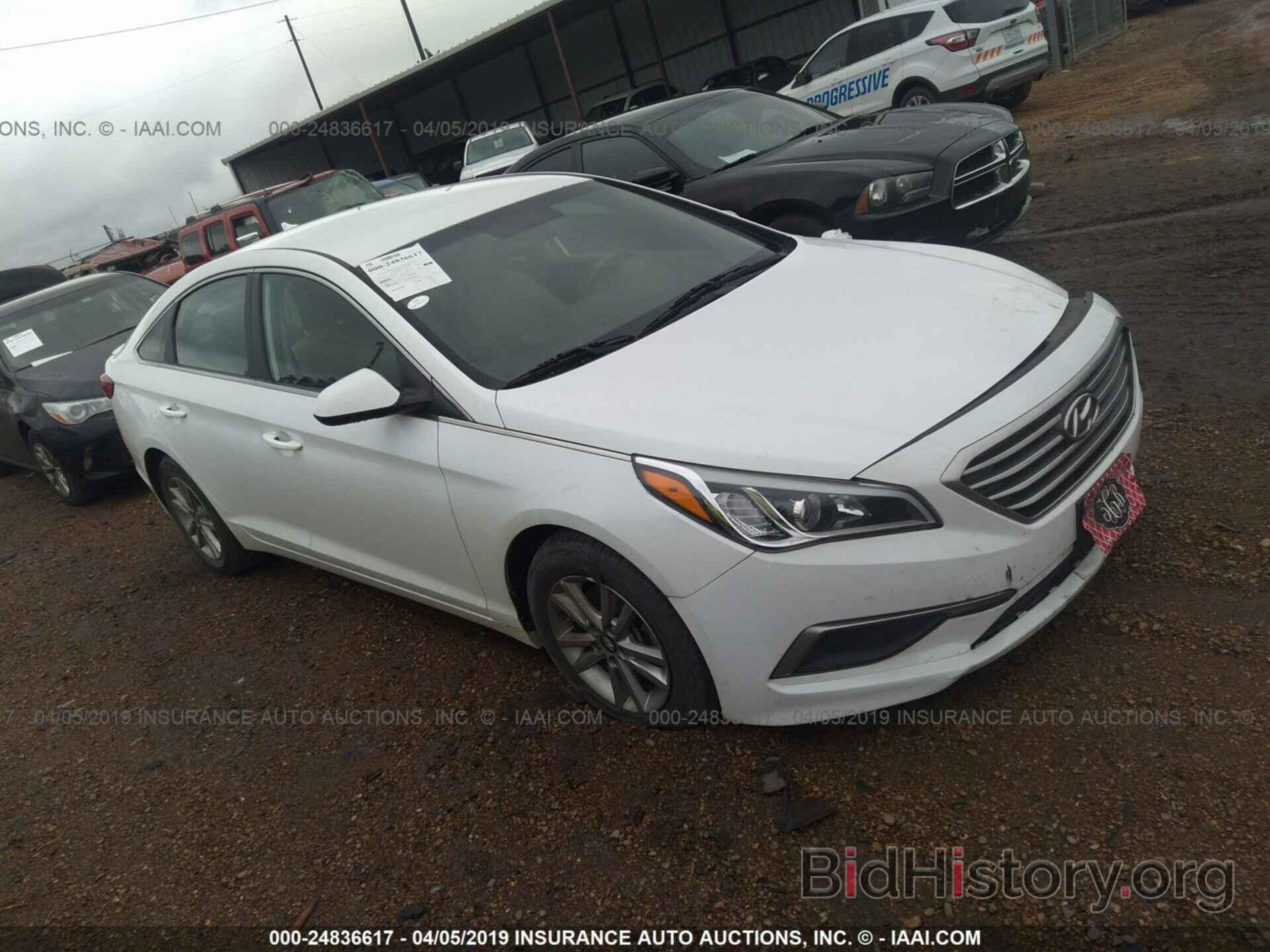 Photo 5NPE24AFXGH345558 - HYUNDAI SONATA 2016