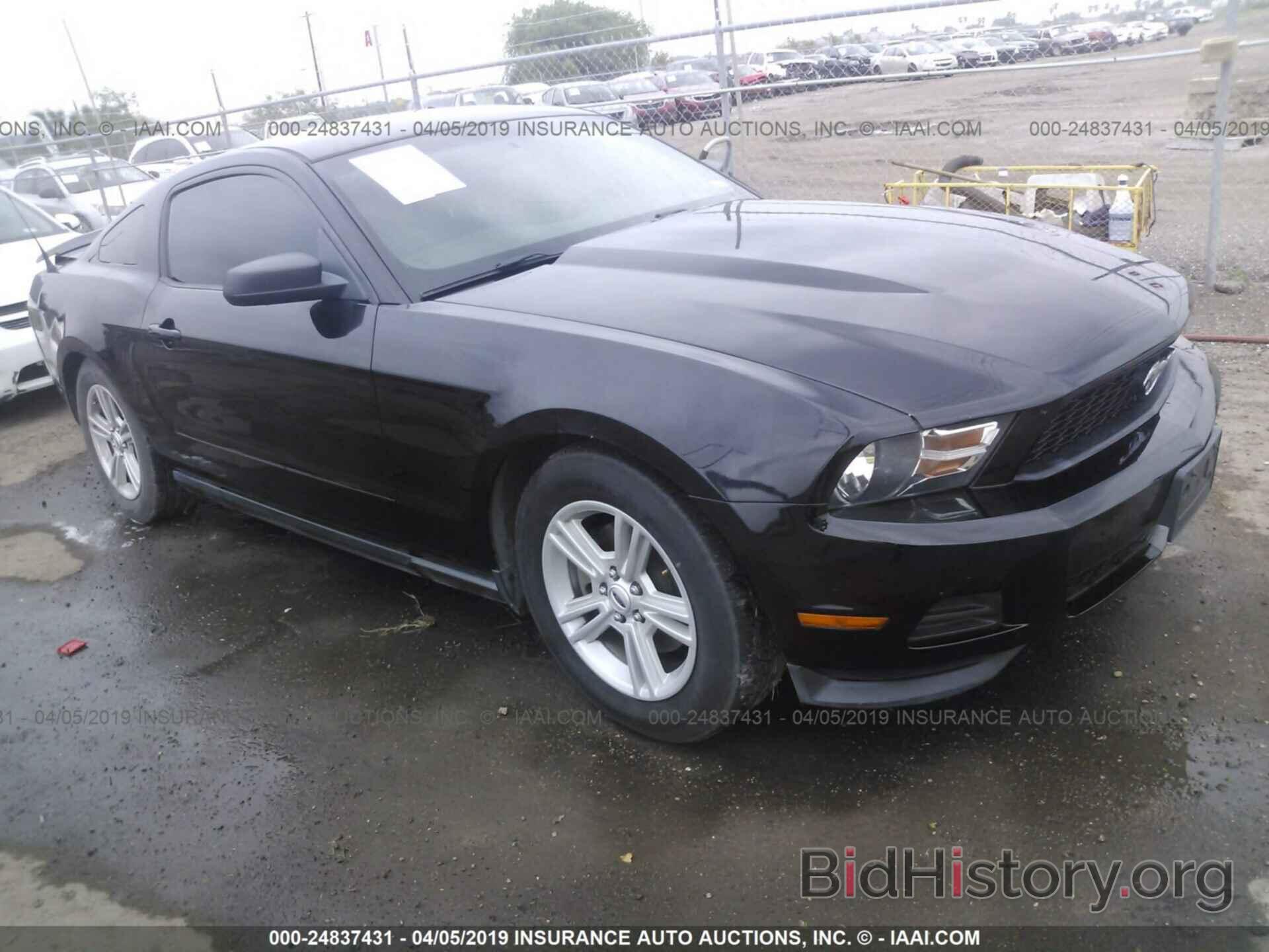 Photo 1ZVBP8AM8C5266276 - FORD MUSTANG 2012