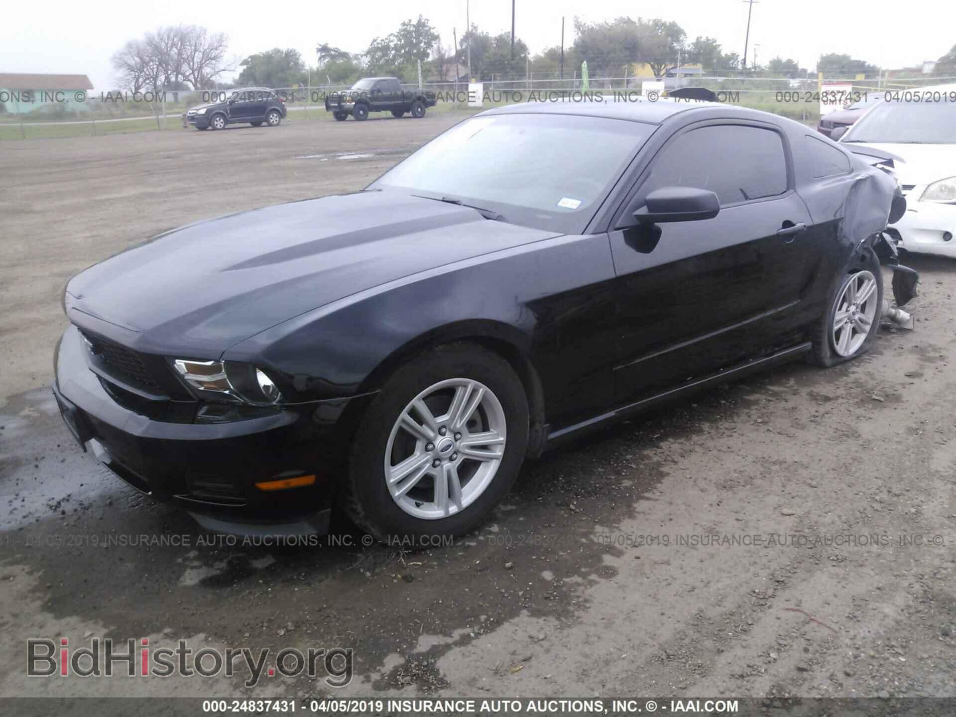2012 FORD MUSTANG - VIN: 1ZVBP8AM8C5266276 - Фото 2