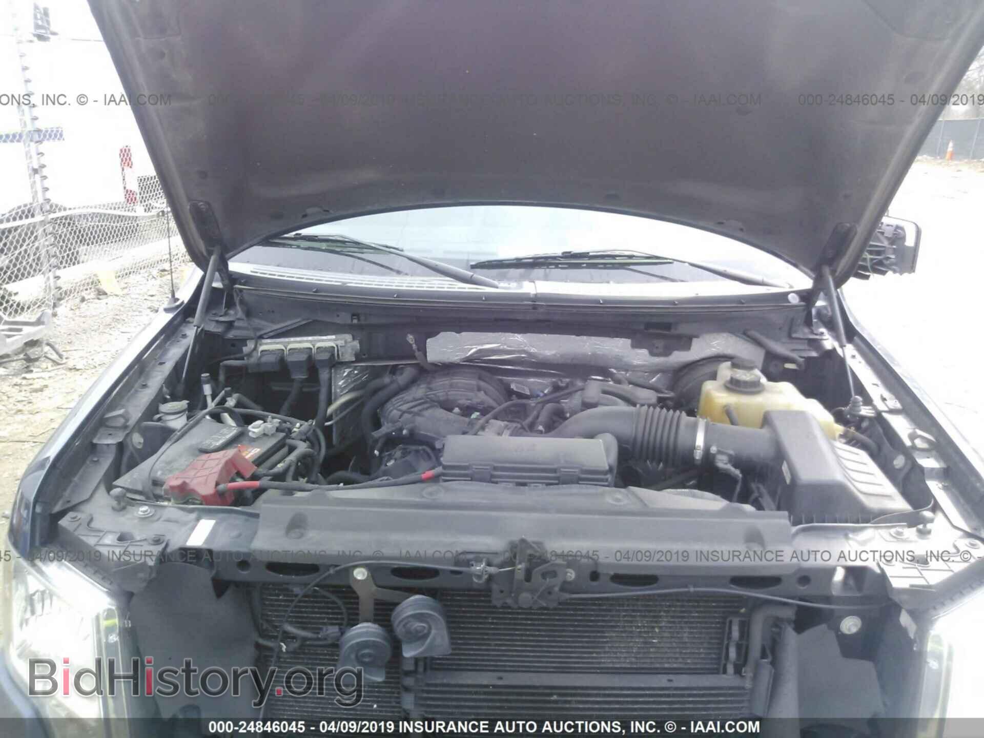 2013 FORD F150 - VIN: 1FTMF1CM0DKF02635 - Фото 10