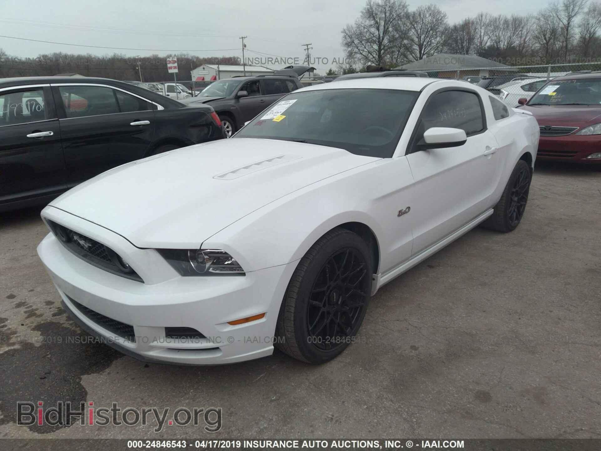 2014 FORD MUSTANG - VIN: 1ZVBP8CF5E5280699 - Фото 2
