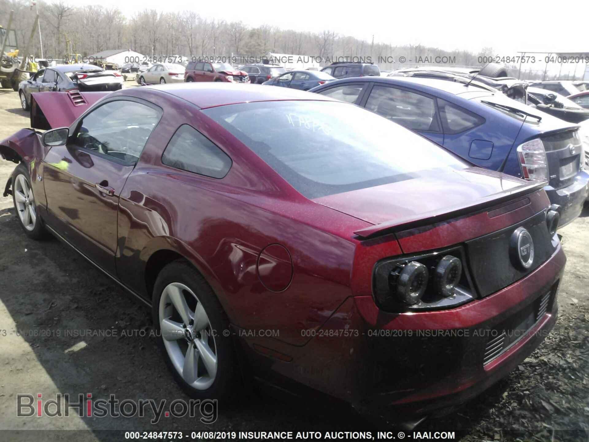 2014 FORD MUSTANG - VIN: 1ZVBP8CF5E5230711 - Фото 3