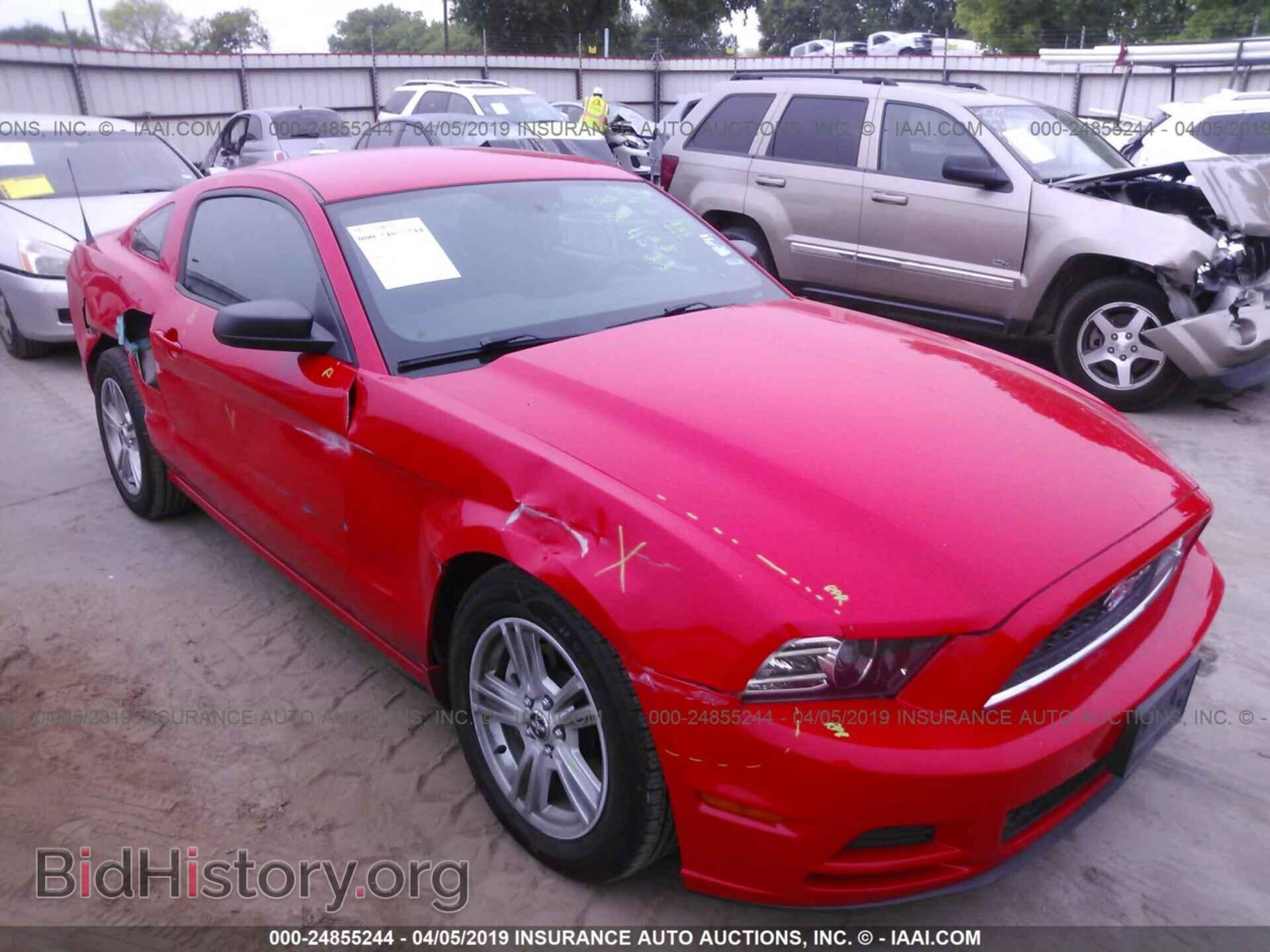 Photo 1ZVBP8AM1E5332637 - FORD MUSTANG 2014