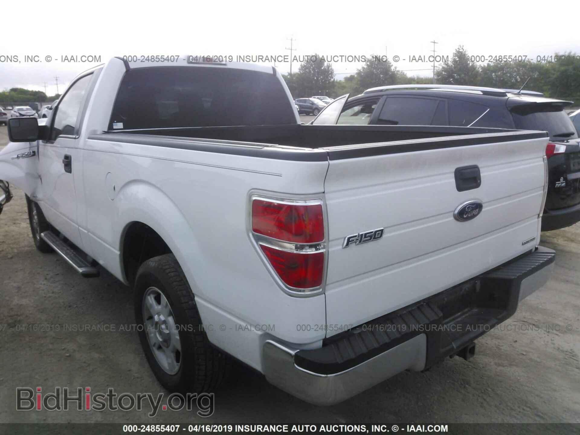 2011 FORD F150 - VIN: 1FTMF1CM4BKD17484 - Фото 3