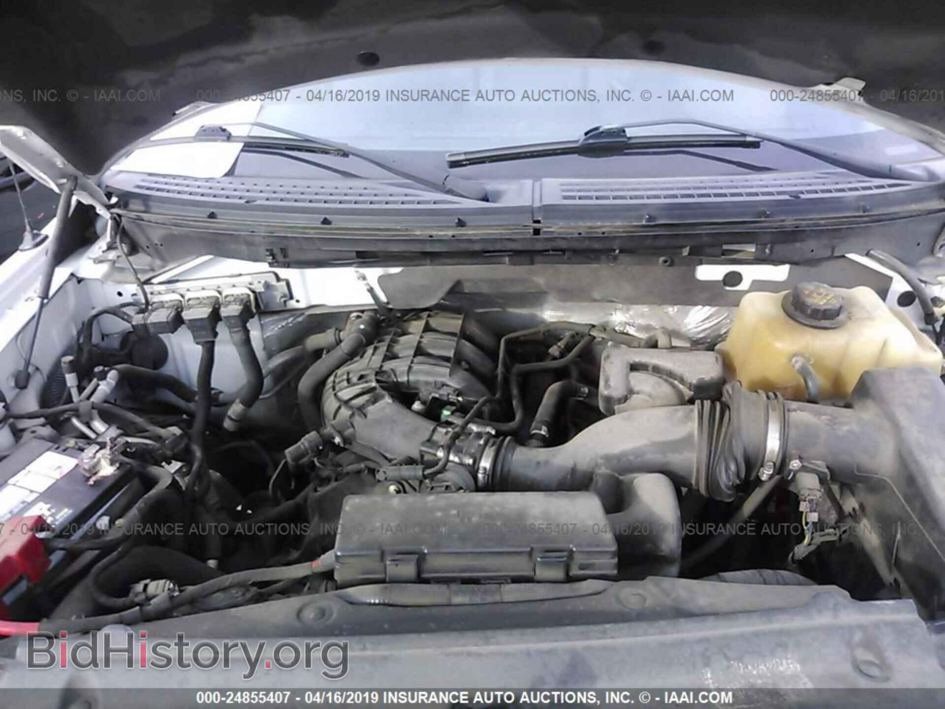 2011 FORD F150 - VIN: 1FTMF1CM4BKD17484 - Фото 10