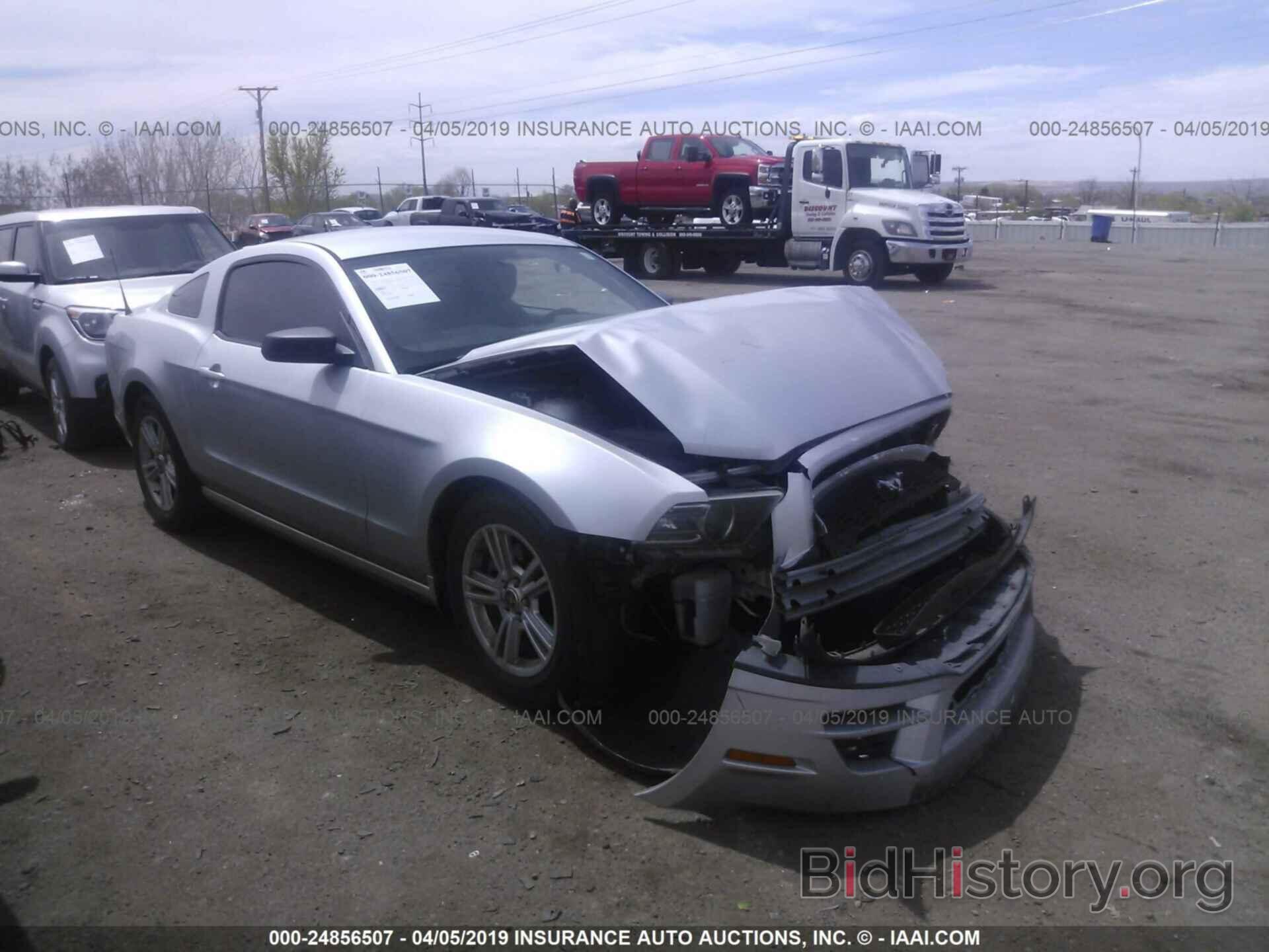 Photo 1ZVBP8AM2D5203353 - FORD MUSTANG 2013