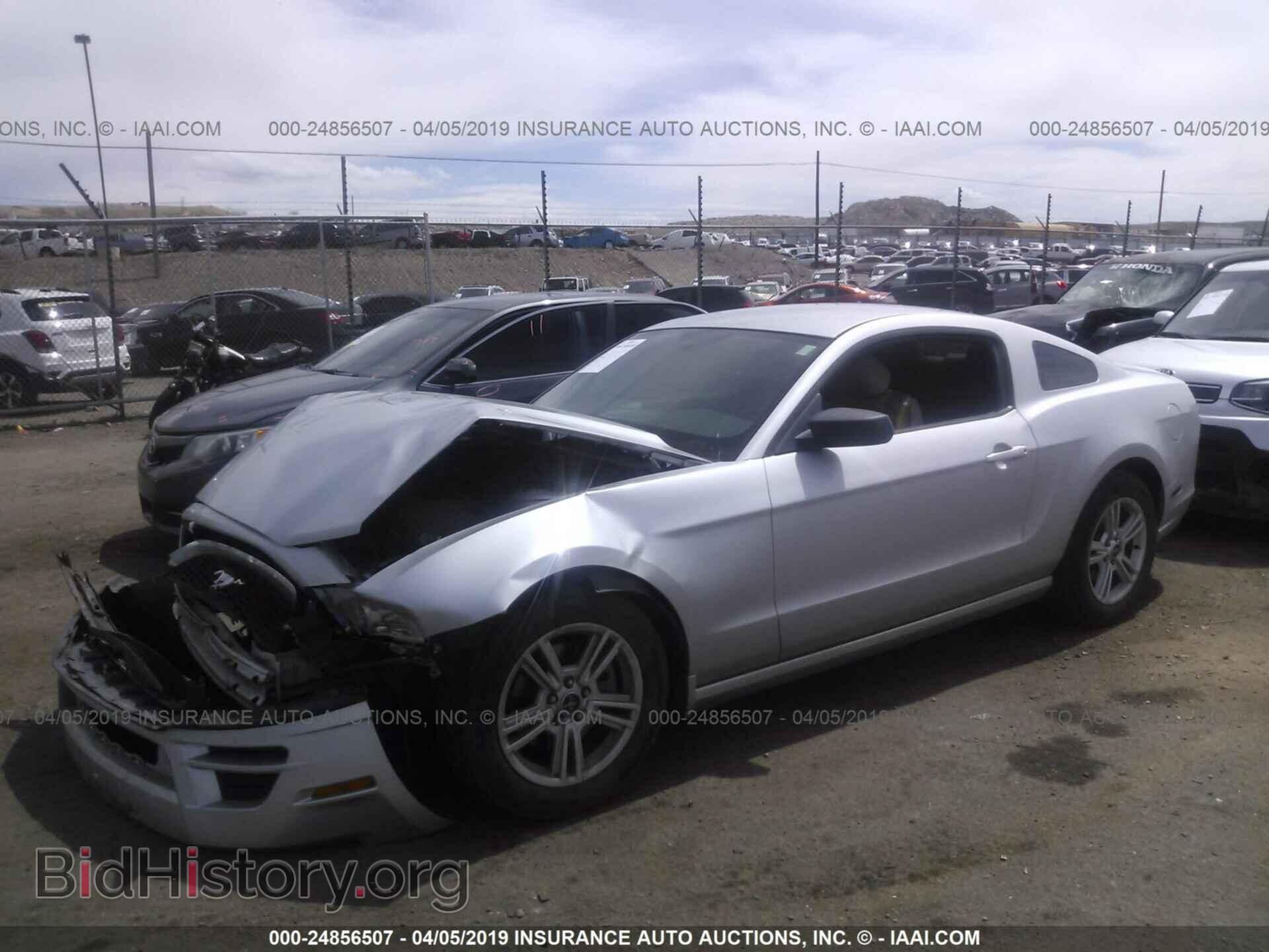 2013 FORD MUSTANG - VIN: 1ZVBP8AM2D5203353 - Фото 2