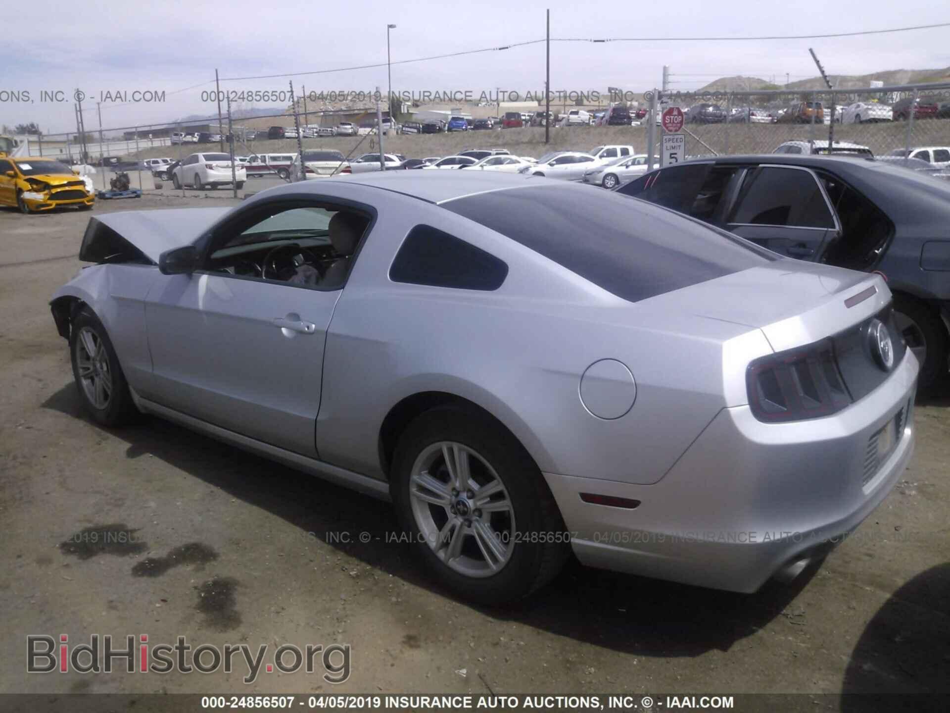 2013 FORD MUSTANG - VIN: 1ZVBP8AM2D5203353 - Фото 3