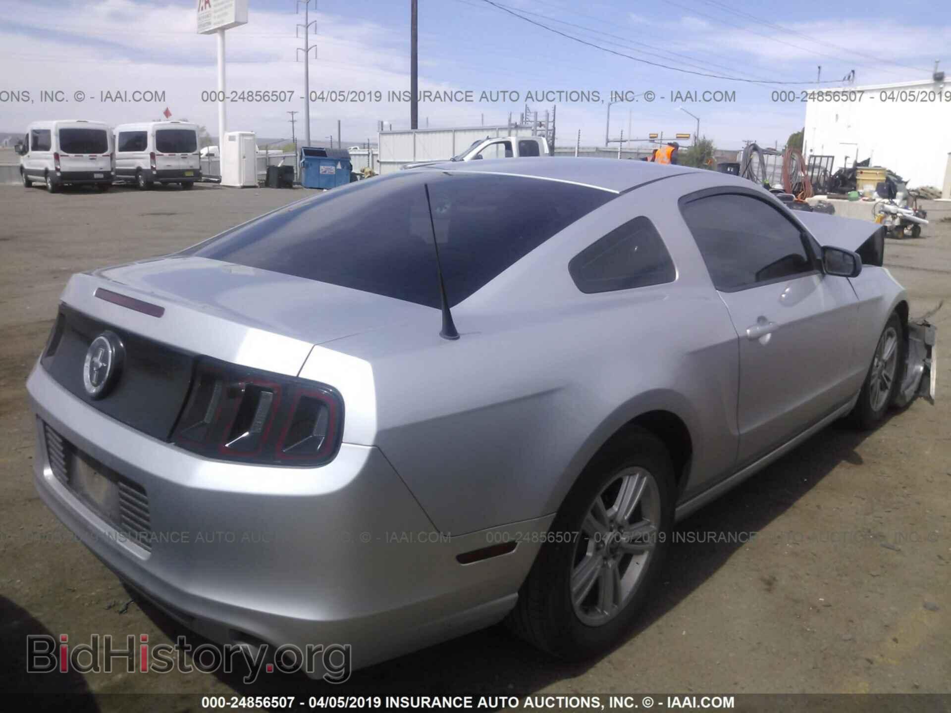 2013 FORD MUSTANG - VIN: 1ZVBP8AM2D5203353 - Фото 4