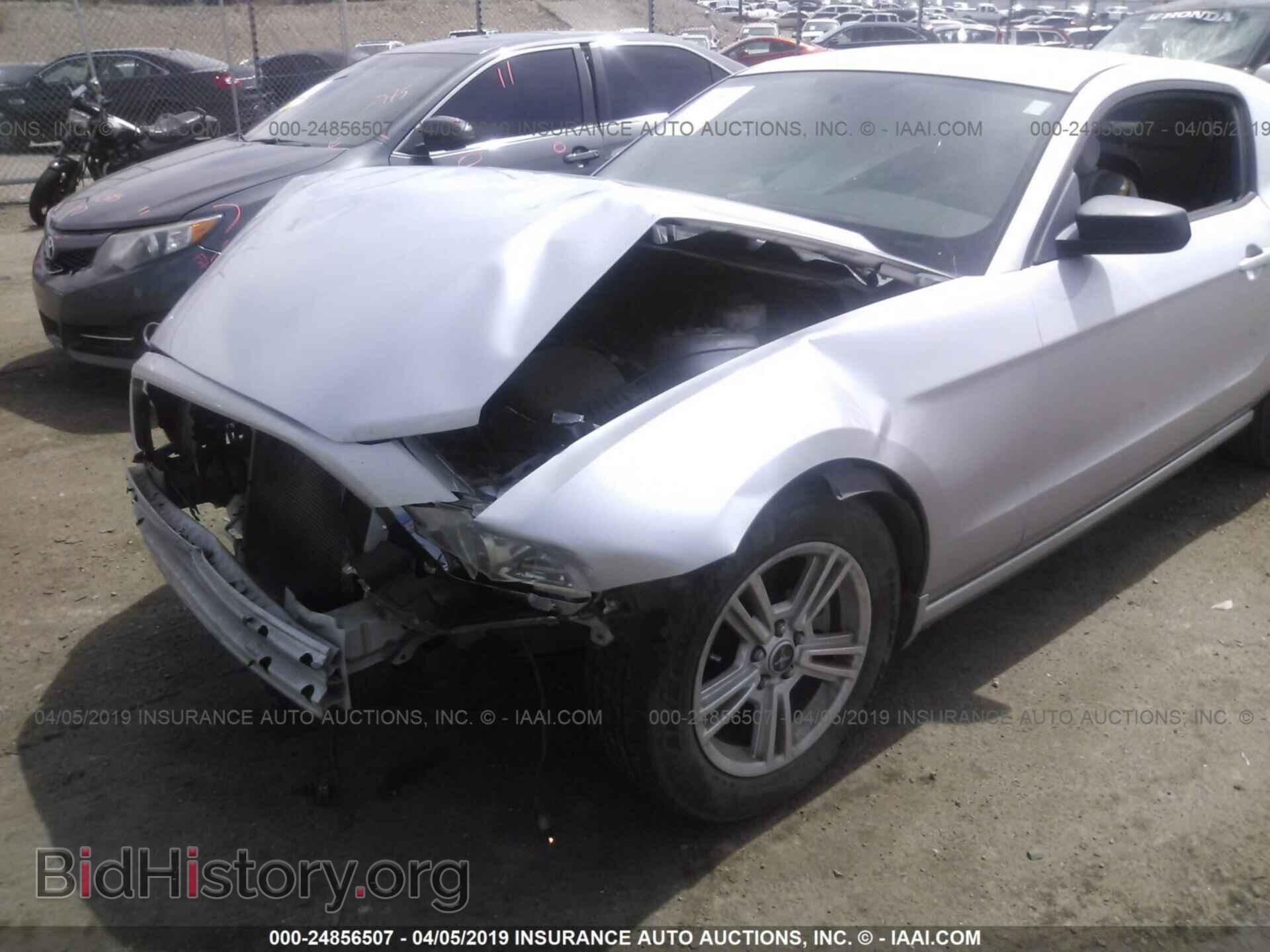 2013 FORD MUSTANG - VIN: 1ZVBP8AM2D5203353 - Фото 6