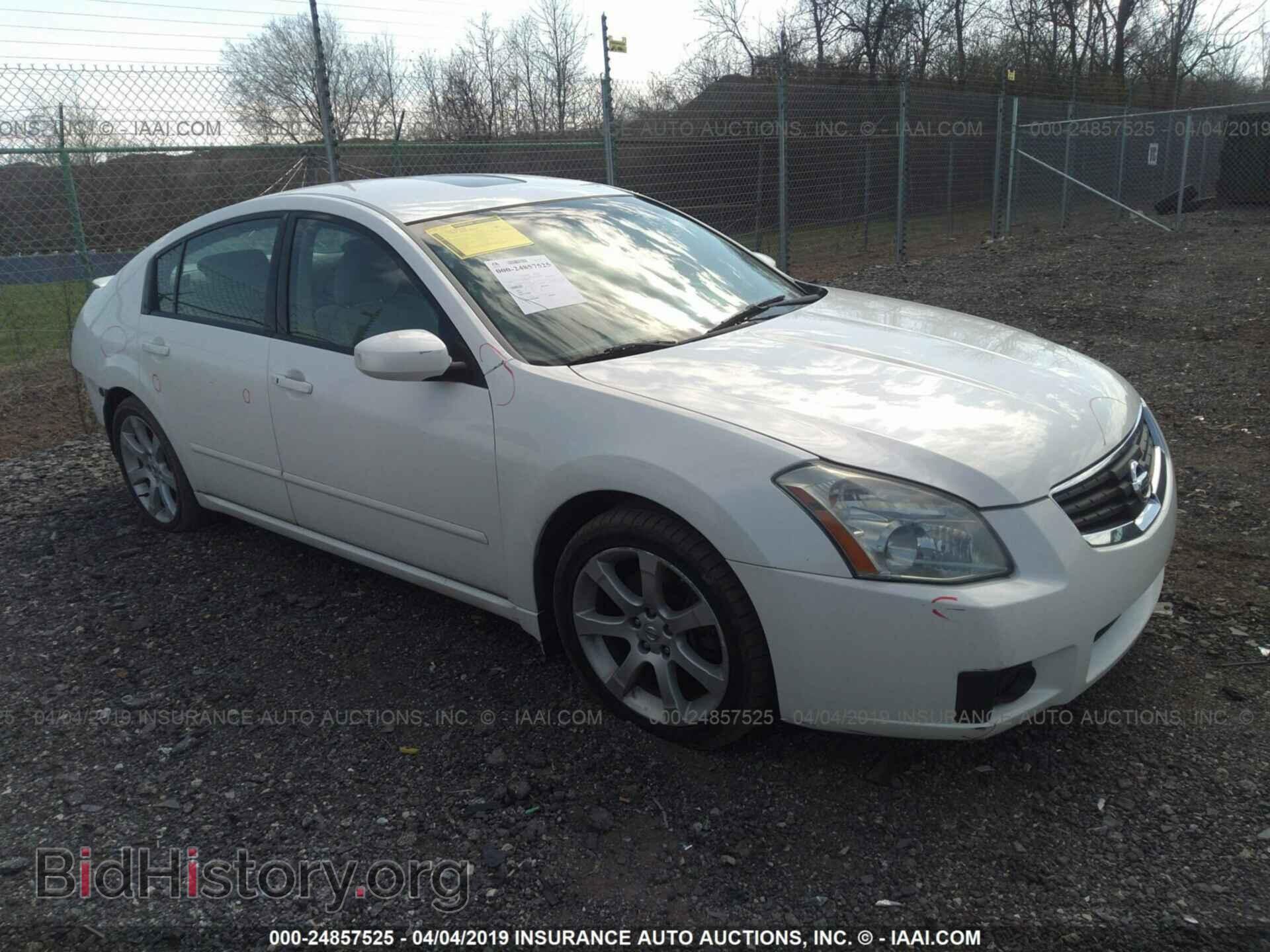 Photo 1N4BA41EX8C837619 - NISSAN MAXIMA 2008