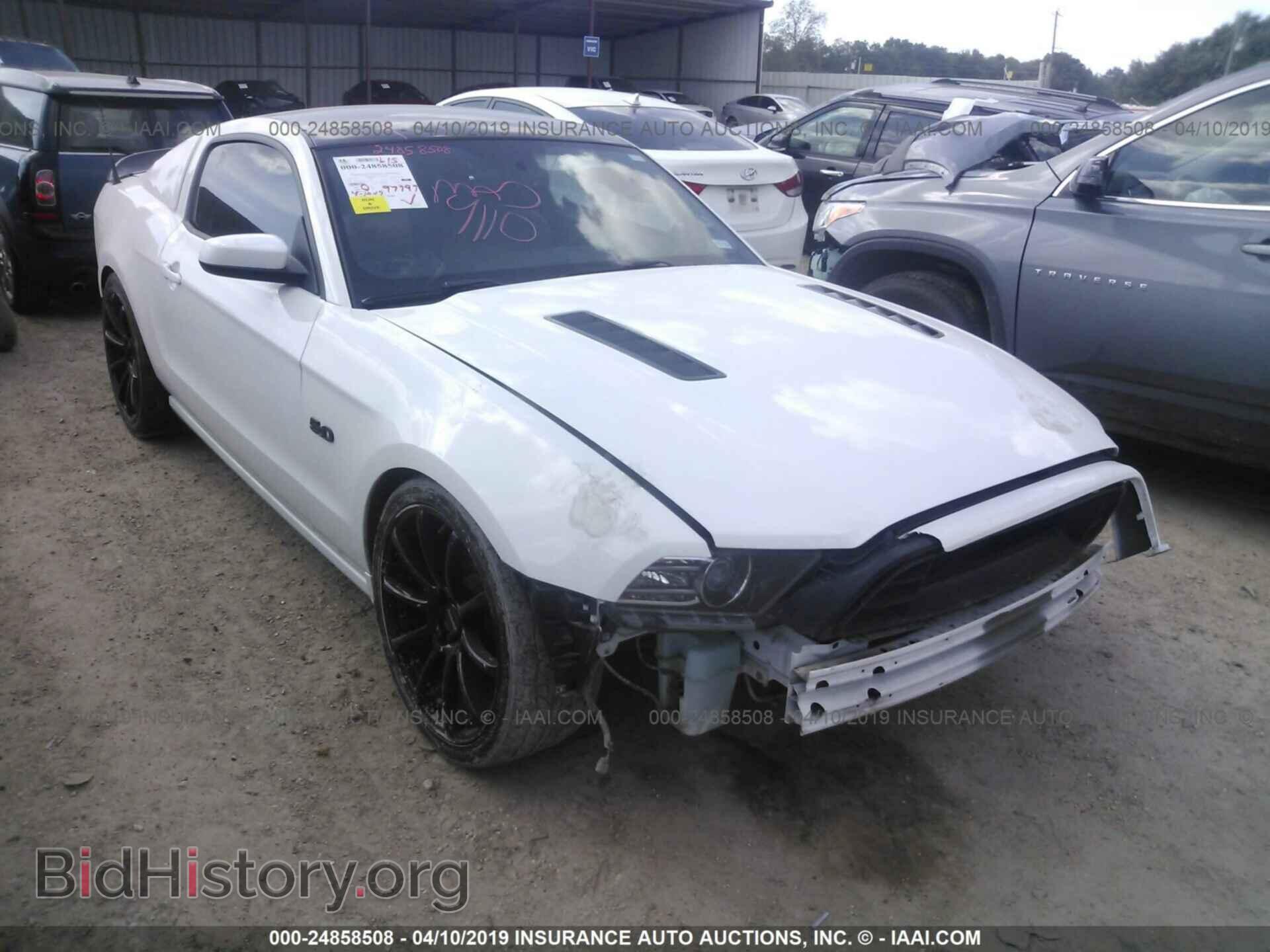 Photo 1ZVBP8CF8E5247292 - FORD MUSTANG 2014