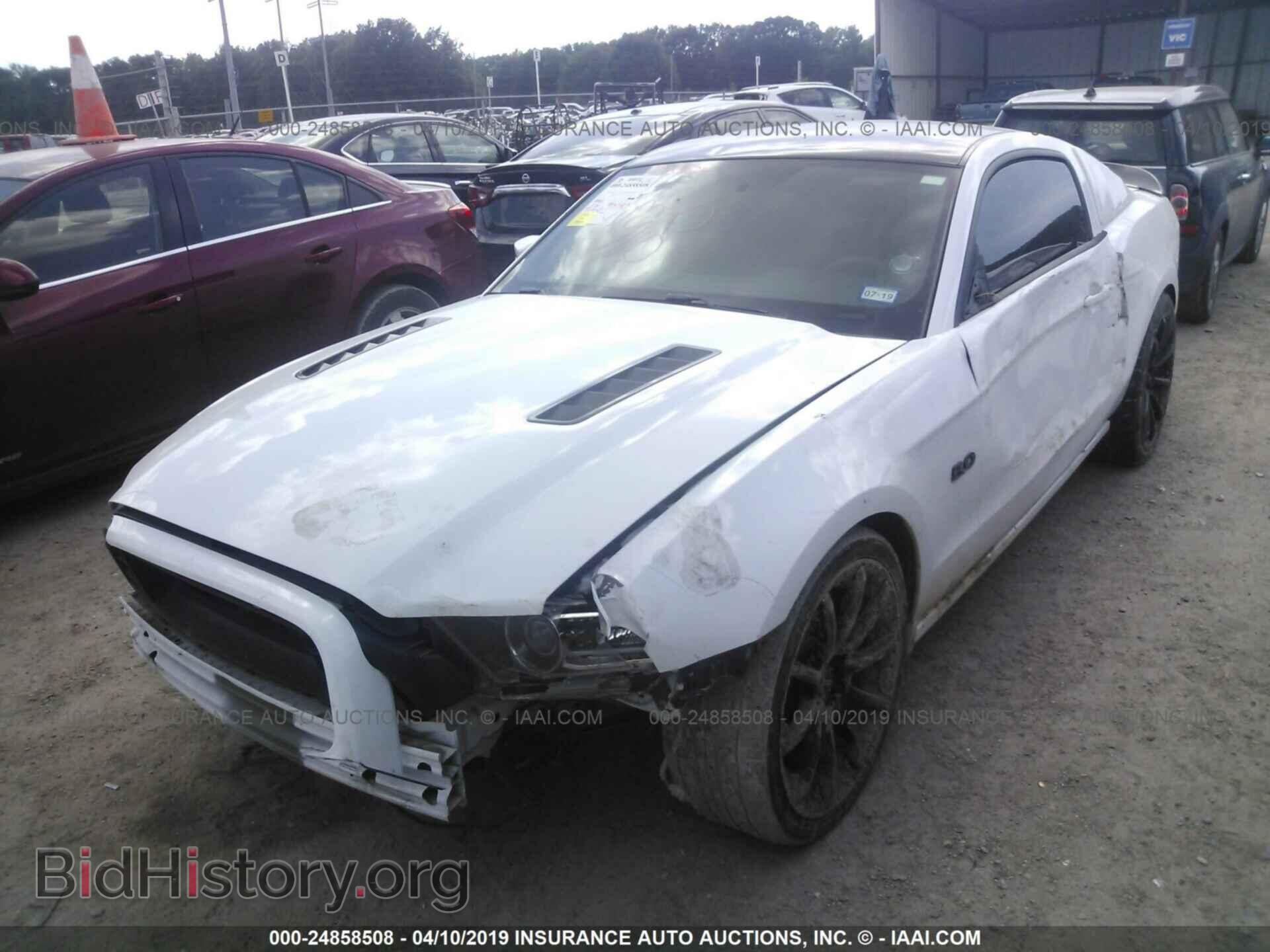 2014 FORD MUSTANG - VIN: 1ZVBP8CF8E5247292 - Фото 2