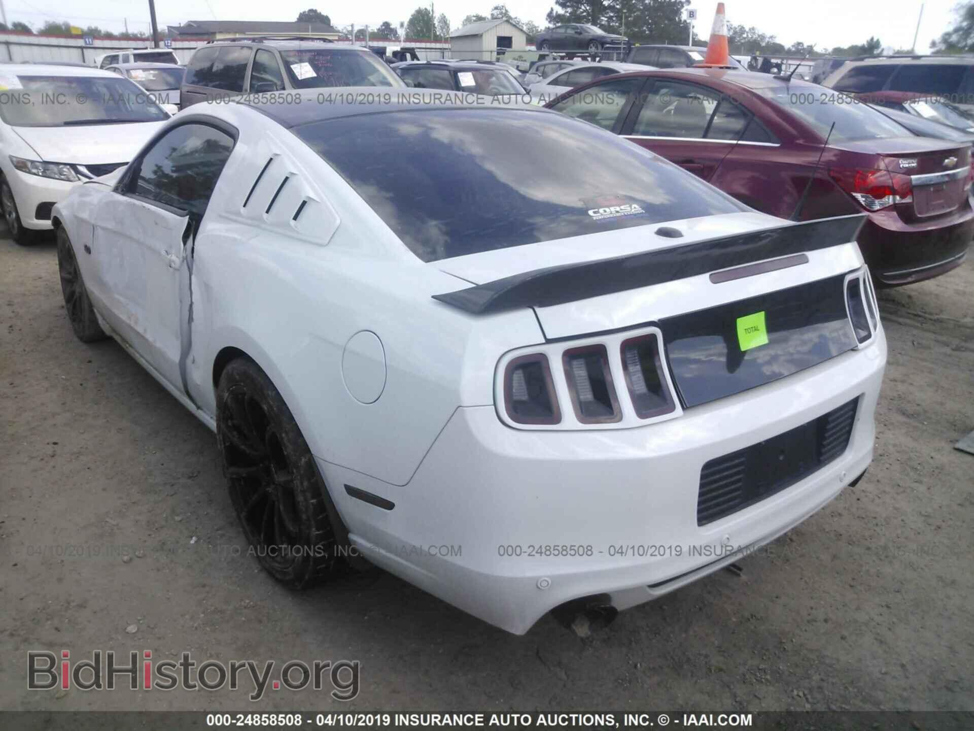 2014 FORD MUSTANG - VIN: 1ZVBP8CF8E5247292 - Фото 3