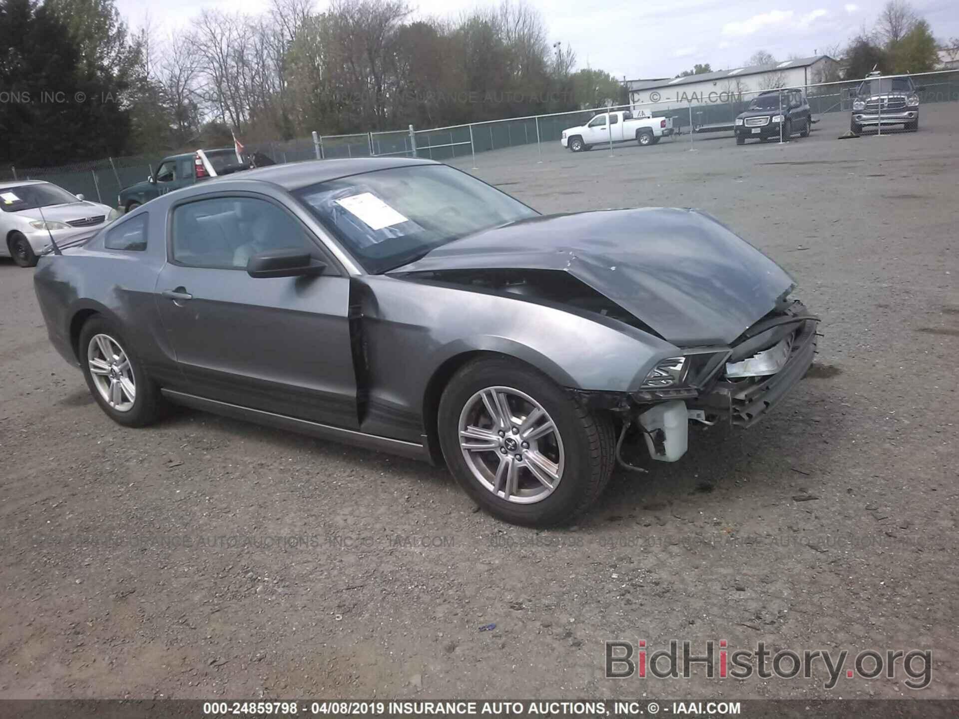 Photo 1ZVBP8AM2D5263729 - FORD MUSTANG 2013