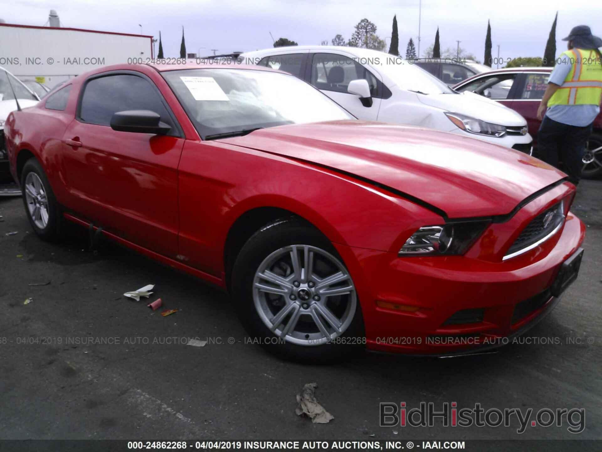 Photo 1ZVBP8AM0D5276043 - FORD MUSTANG 2013