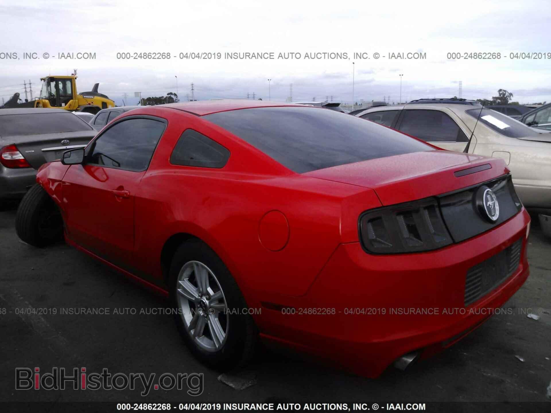 2013 FORD MUSTANG - VIN: 1ZVBP8AM0D5276043 - Фото 3