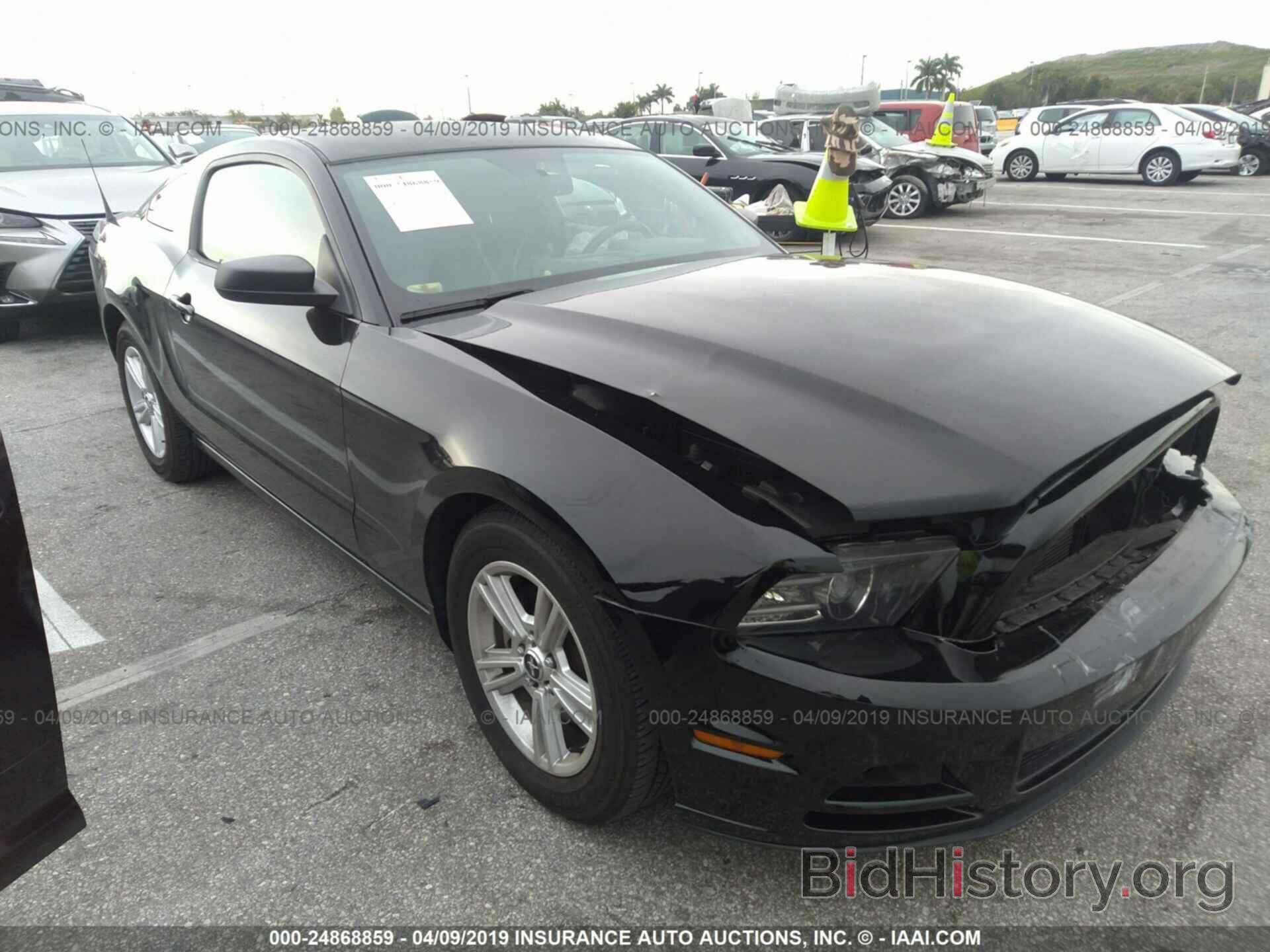 Photo 1ZVBP8AM8D5277909 - FORD MUSTANG 2013