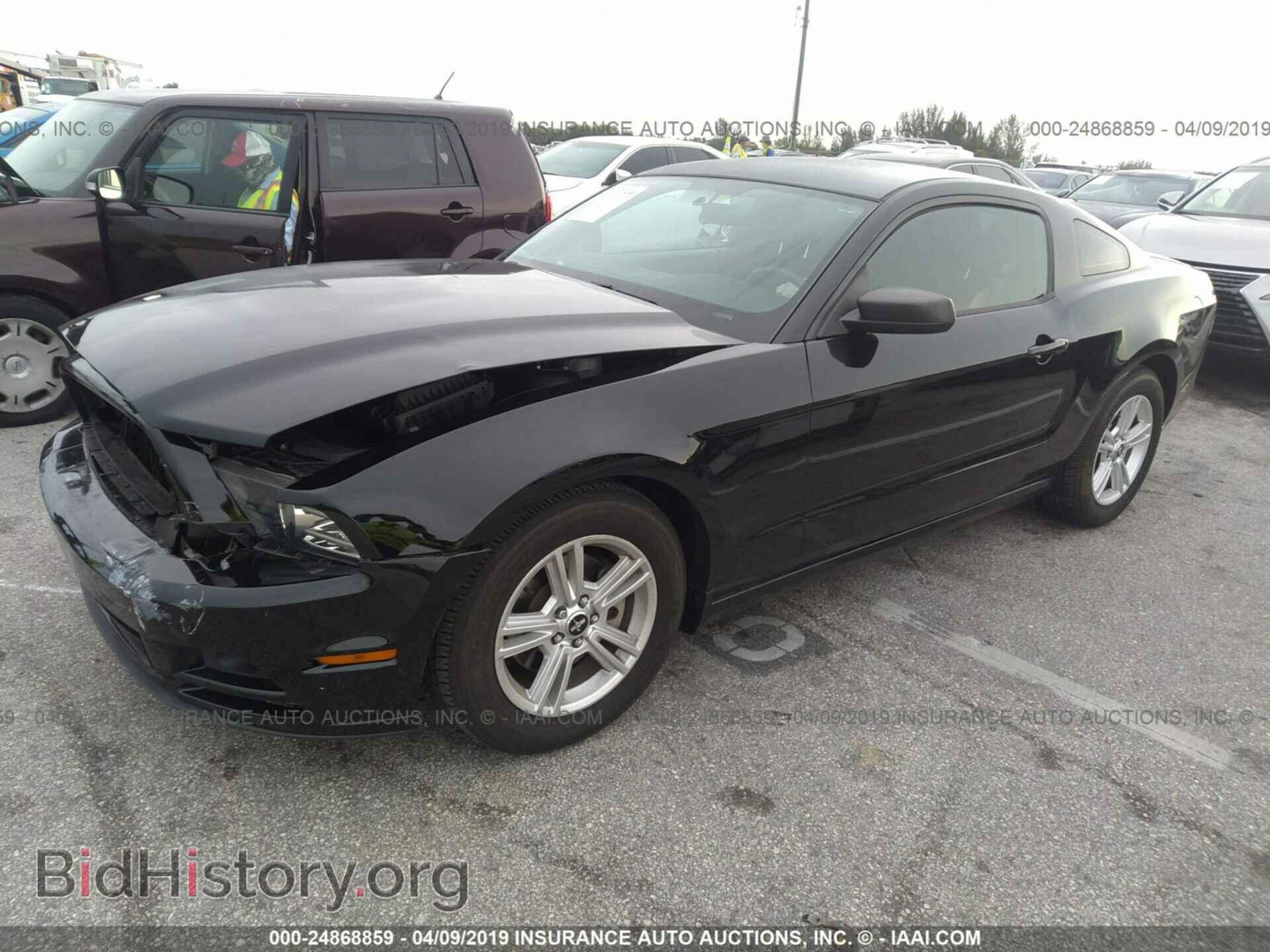 2013 FORD MUSTANG - VIN: 1ZVBP8AM8D5277909 - Фото 2
