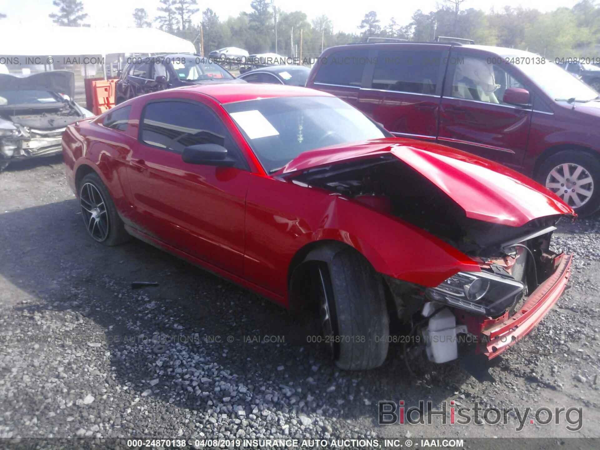 Photo 1ZVBP8AM0E5290218 - FORD MUSTANG 2014