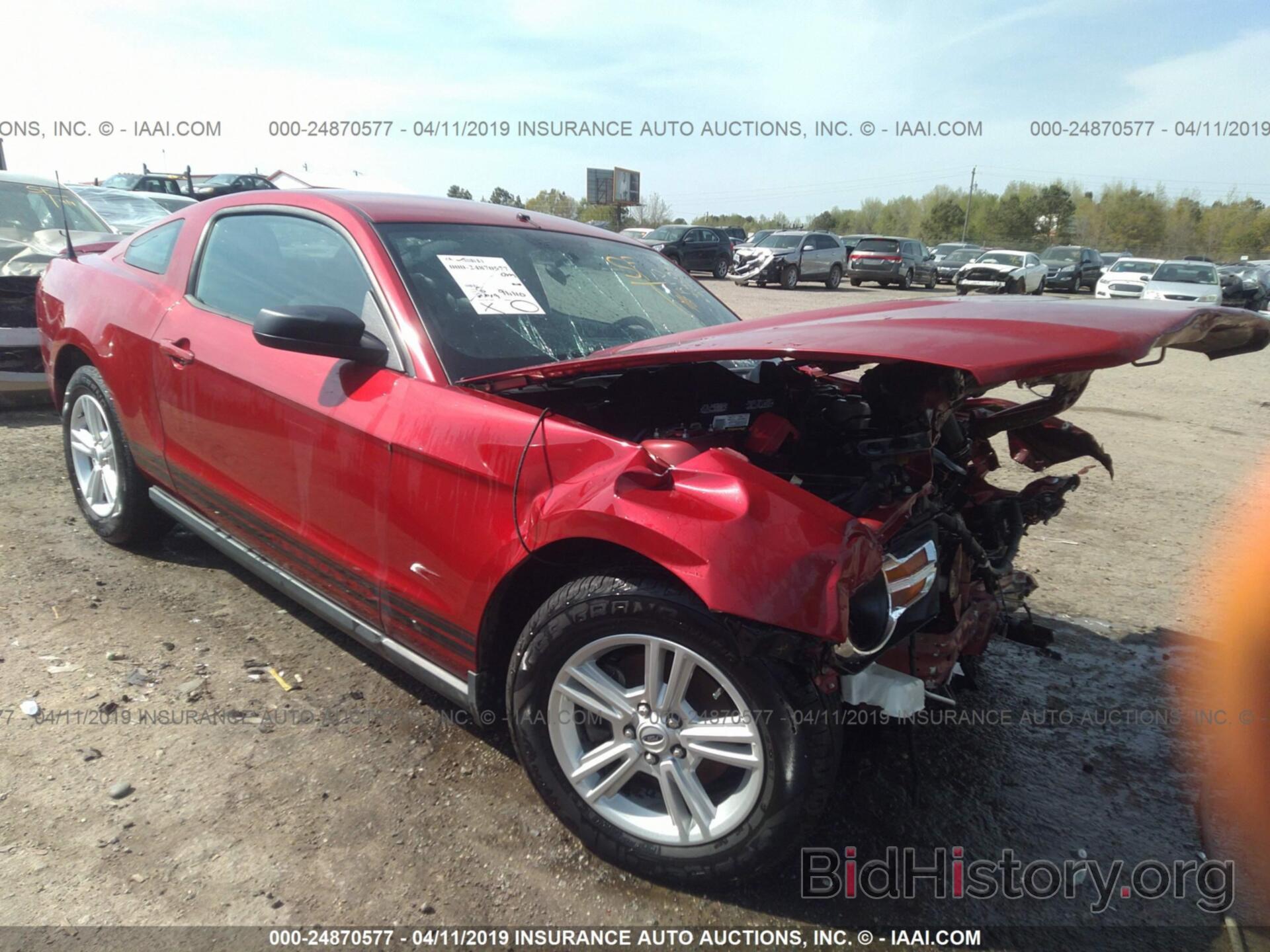 Photo 1ZVBP8AMXC5274153 - FORD MUSTANG 2012