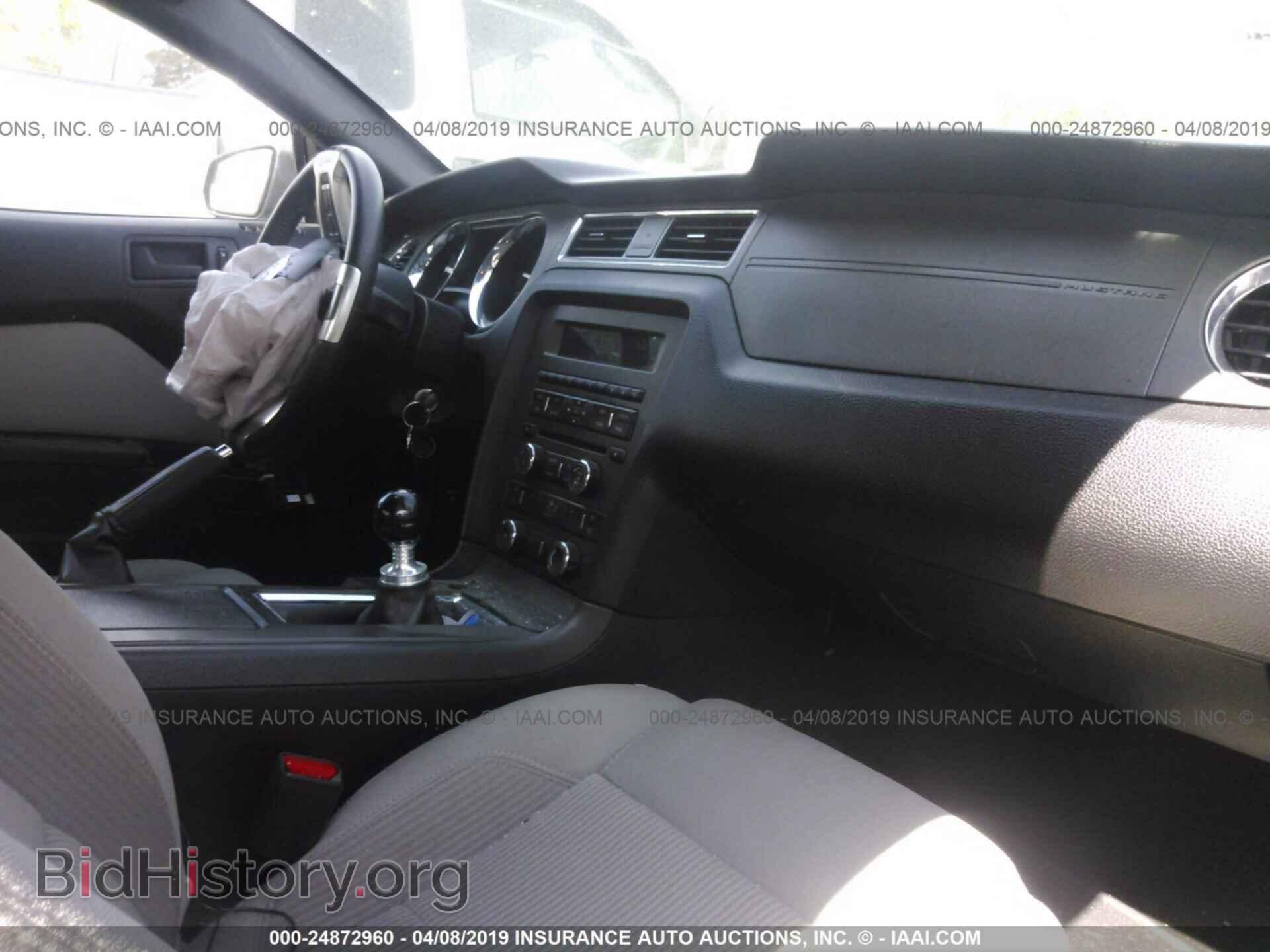 2014 FORD MUSTANG - VIN: 1ZVBP8CF0E5258562 - Фото 5