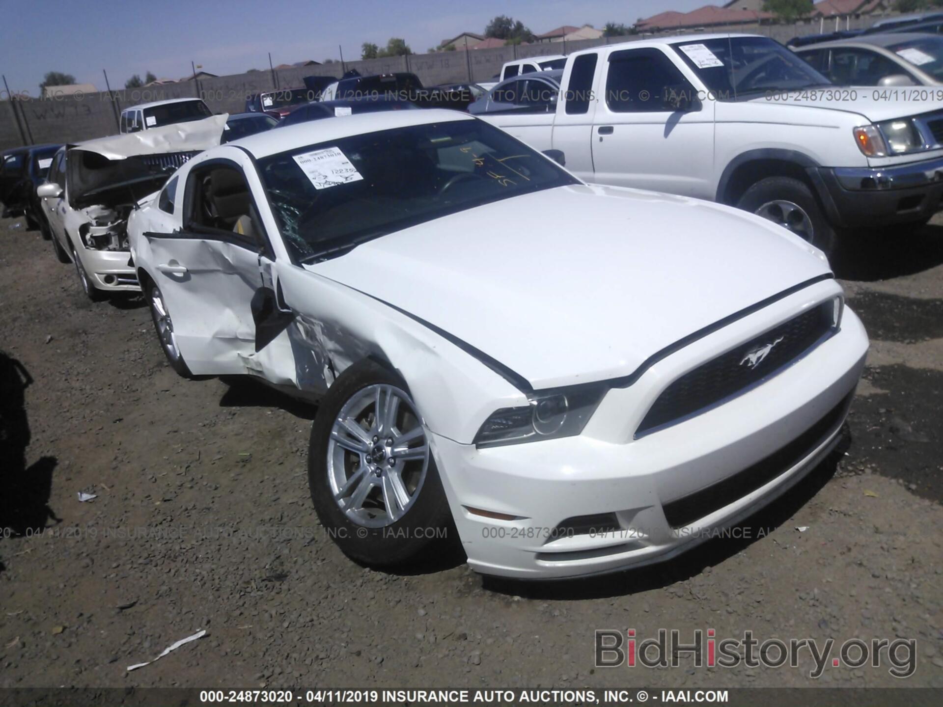 Photo 1ZVBP8AM7D5241547 - FORD MUSTANG 2013