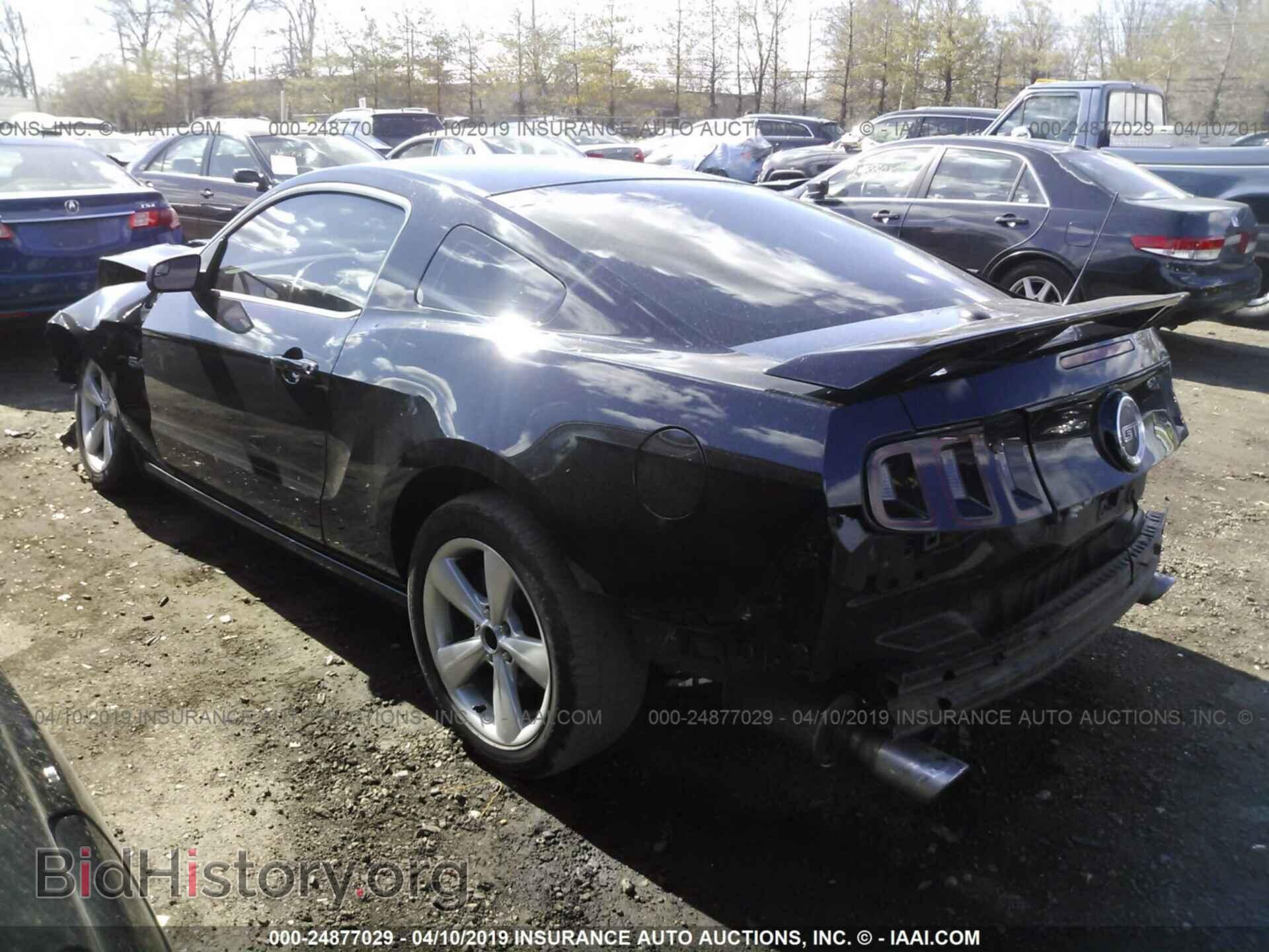 2013 FORD MUSTANG - VIN: 1ZVBP8CFXD5201901 - Фото 3