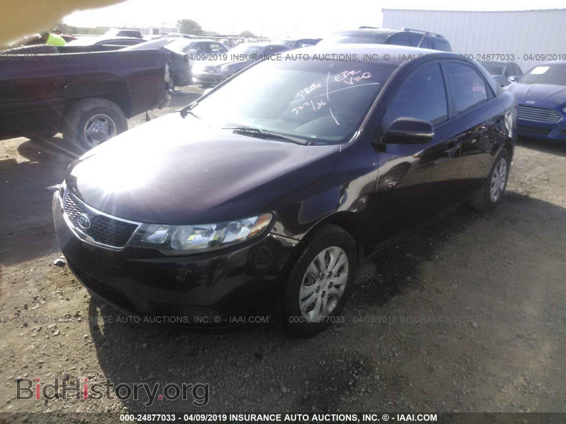 2011 KIA FORTE - VIN: KNAFU4A22B5345183 - Фото 2