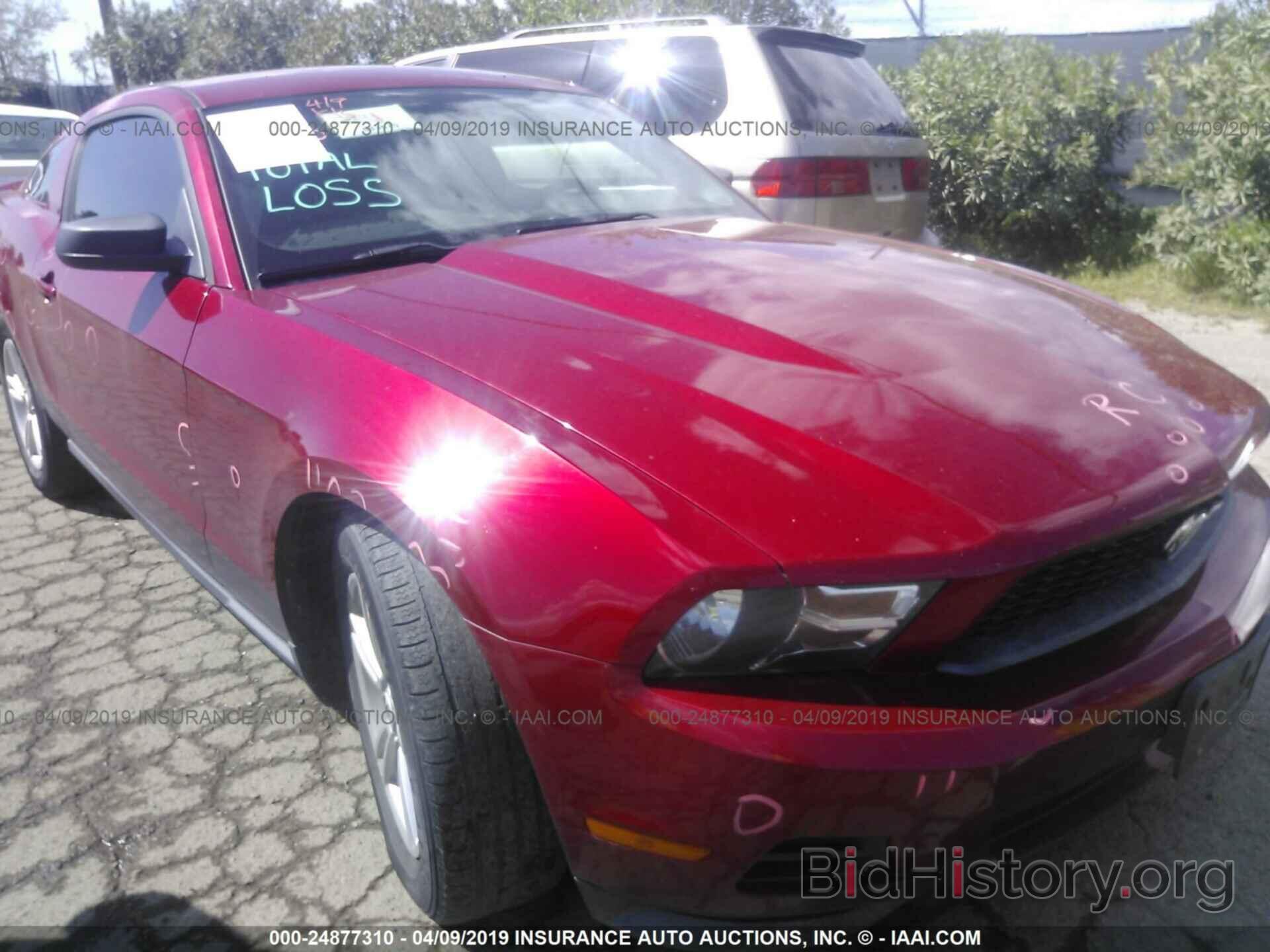 Photo 1ZVBP8AM3C5224470 - FORD MUSTANG 2012