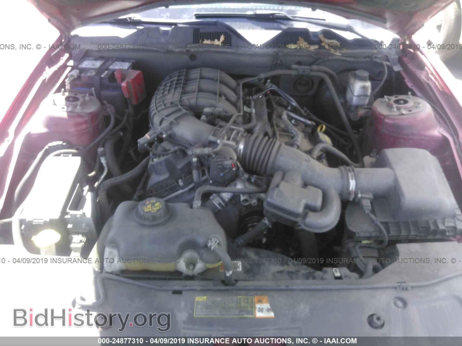 2012 FORD MUSTANG - VIN: 1ZVBP8AM3C5224470 - Фото 10