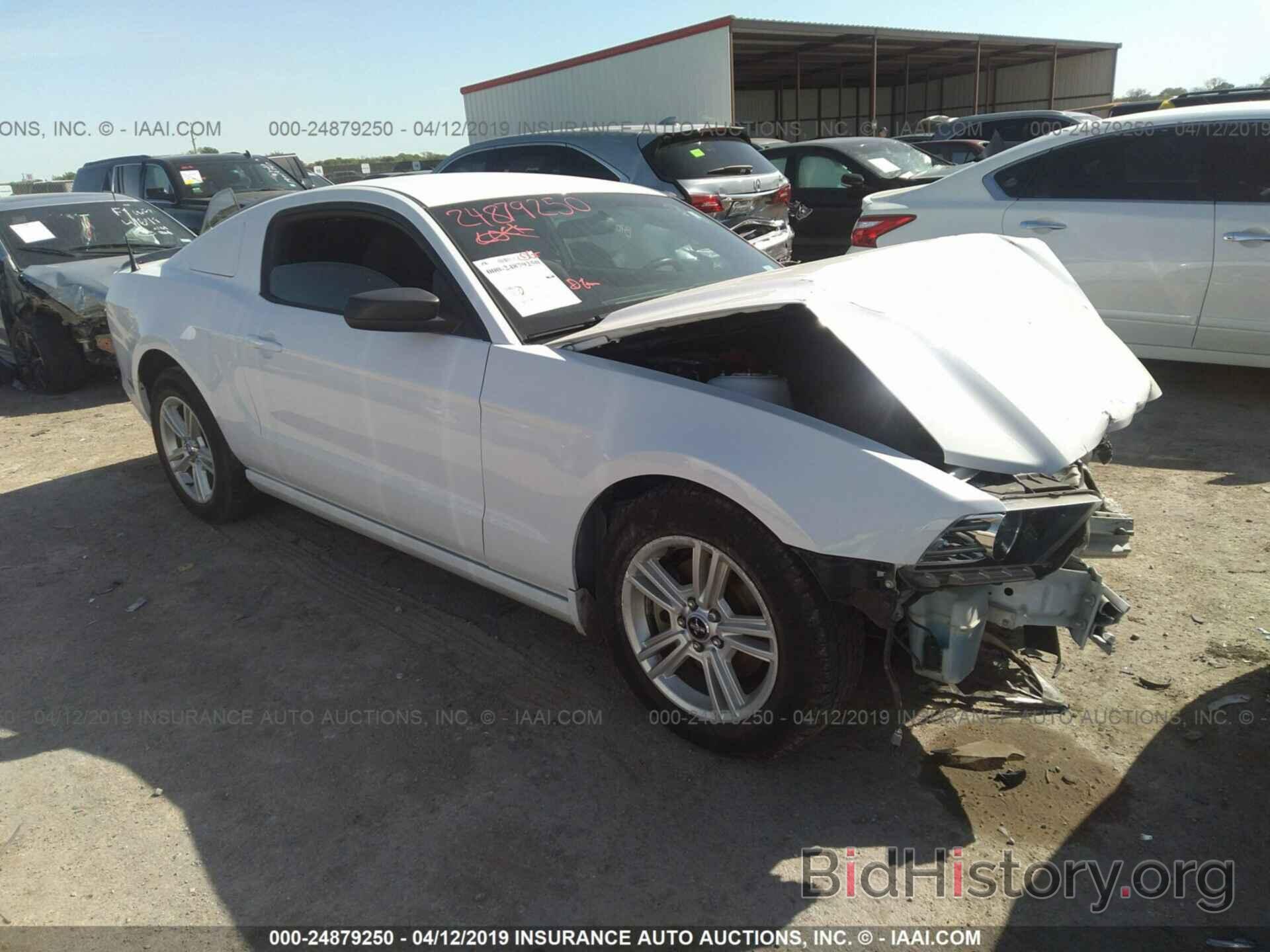 Photo 1ZVBP8AM4E5326315 - FORD MUSTANG 2014