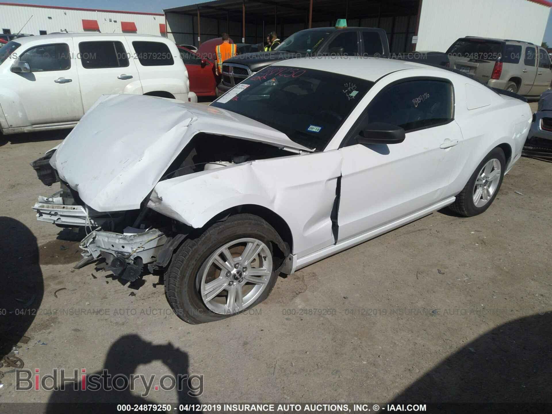 2014 FORD MUSTANG - VIN: 1ZVBP8AM4E5326315 - Фото 2