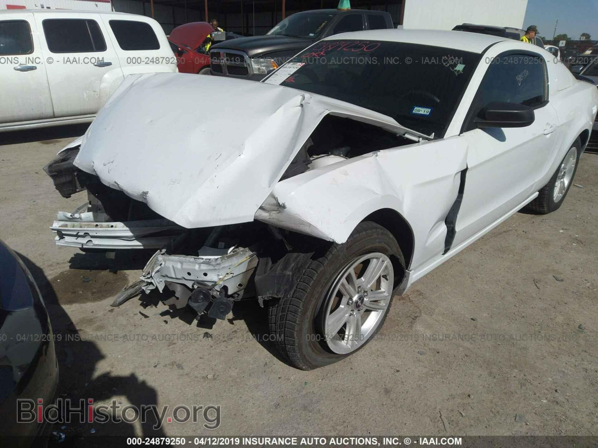 2014 FORD MUSTANG - VIN: 1ZVBP8AM4E5326315 - Фото 6
