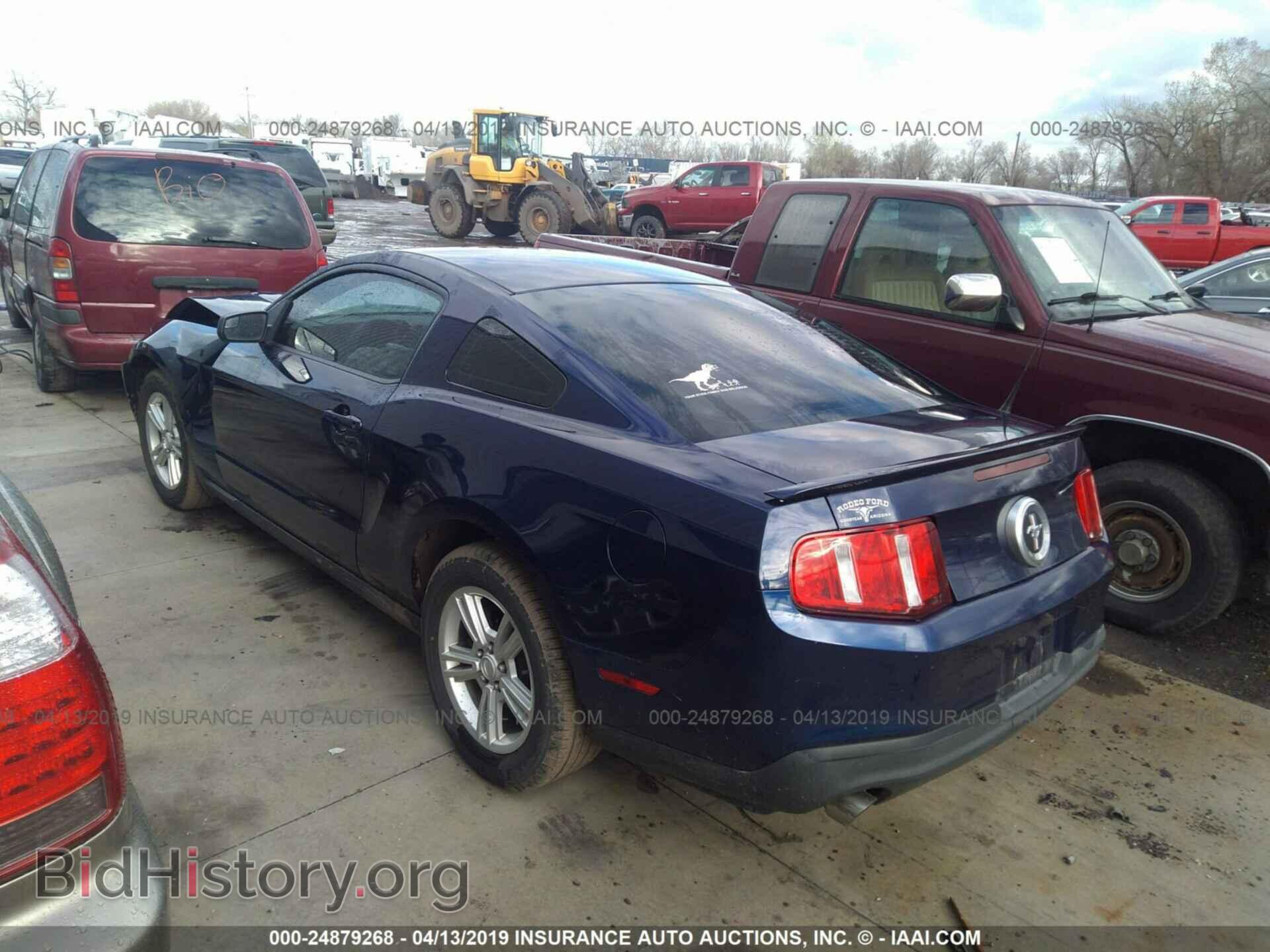 2011 FORD MUSTANG - VIN: 1ZVBP8AM8B5106073 - Фото 3