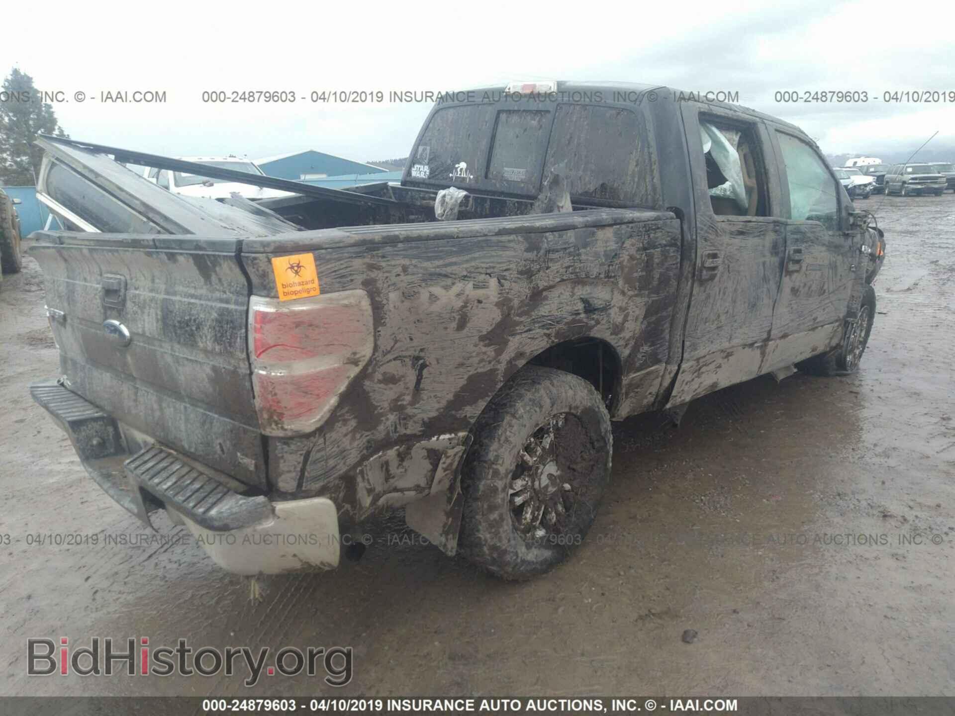 2010 FORD F150 - VIN: 1FTFW1EV7AFC17112 - Фото 4