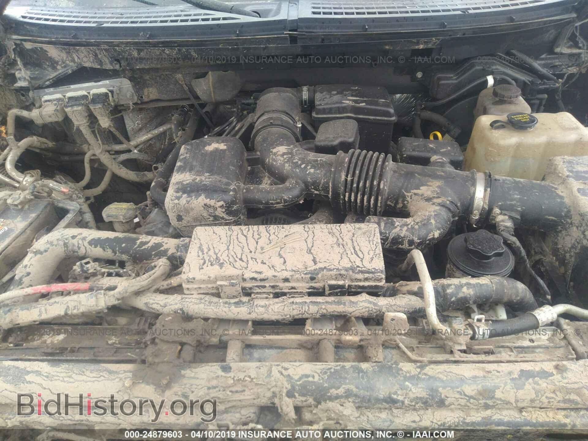 2010 FORD F150 - VIN: 1FTFW1EV7AFC17112 - Фото 10