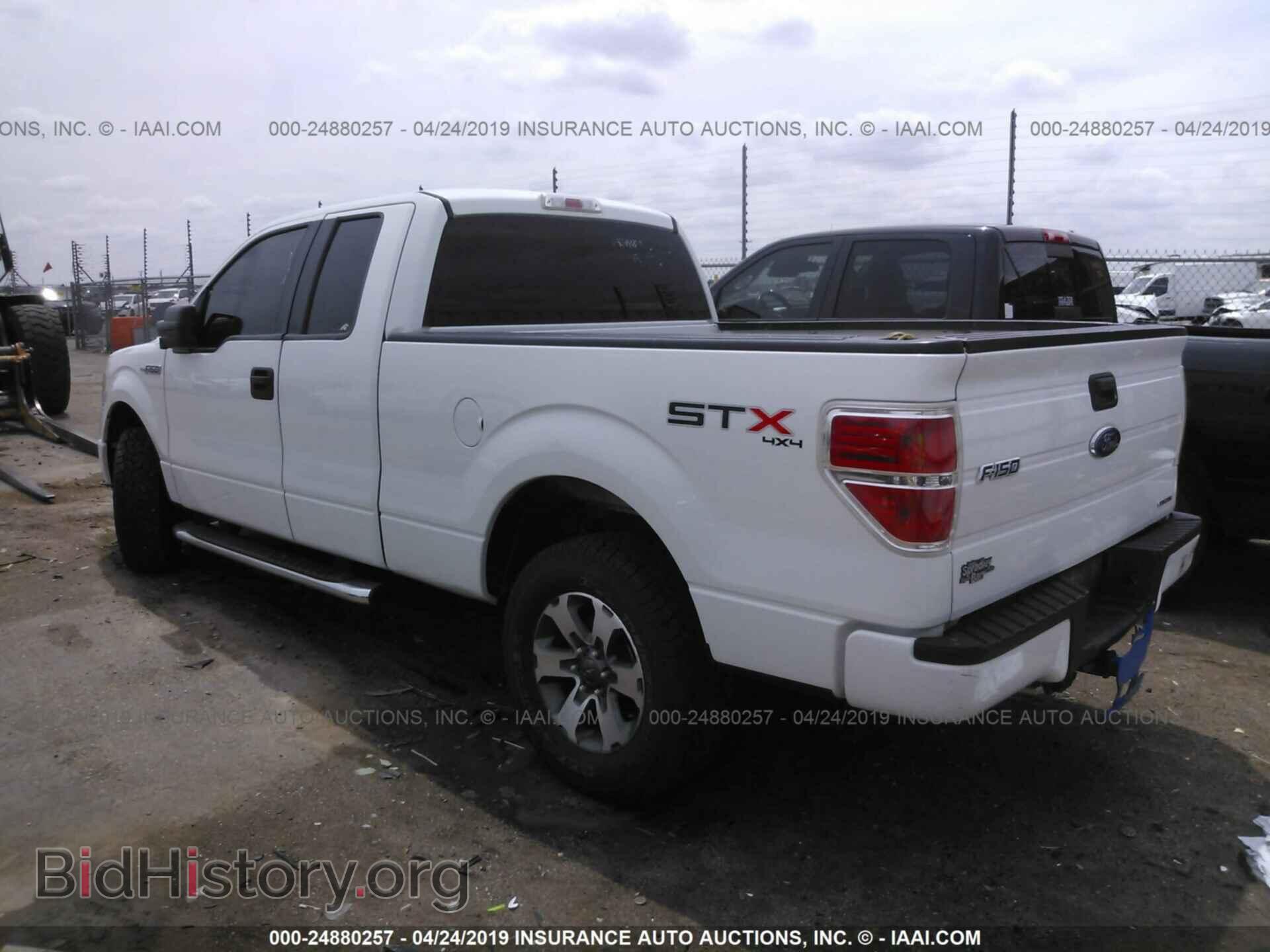 2013 FORD F150 - VIN: 1FTFX1EF2DFB44919 - Фото 3