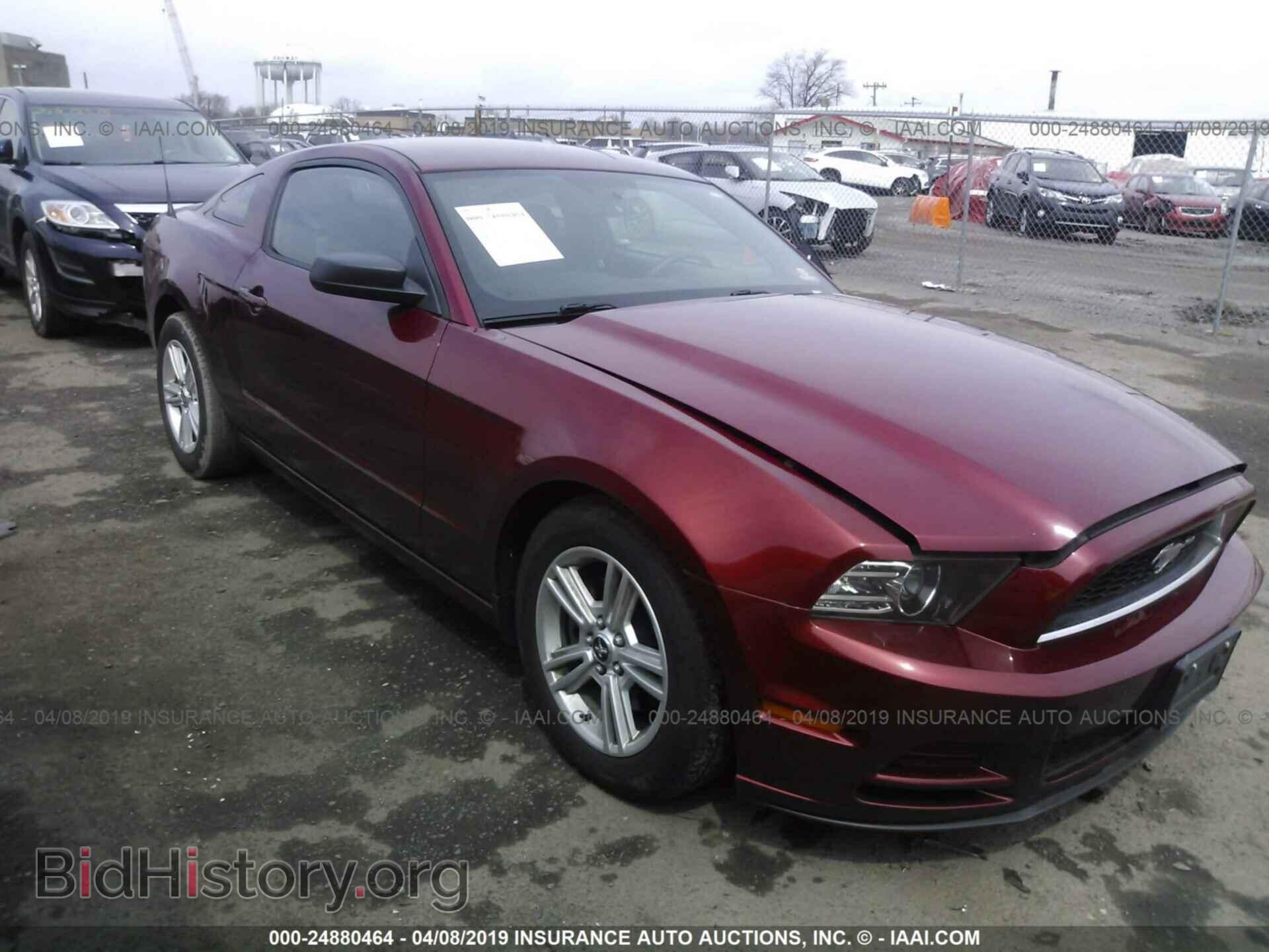 Фотография 1ZVBP8AM9E5214156 - FORD MUSTANG 2014